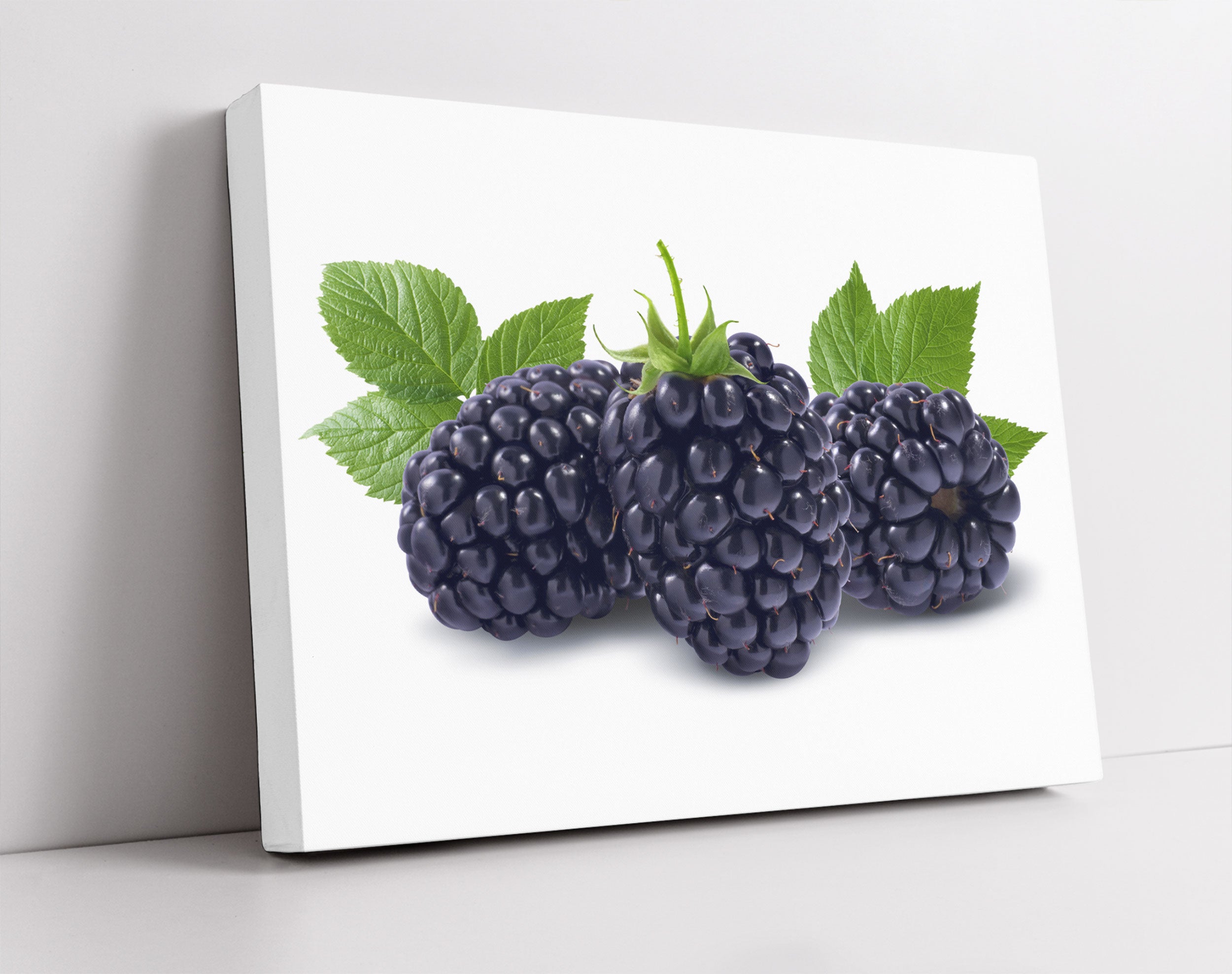 Leckere Brombeeren - Leinwandbild