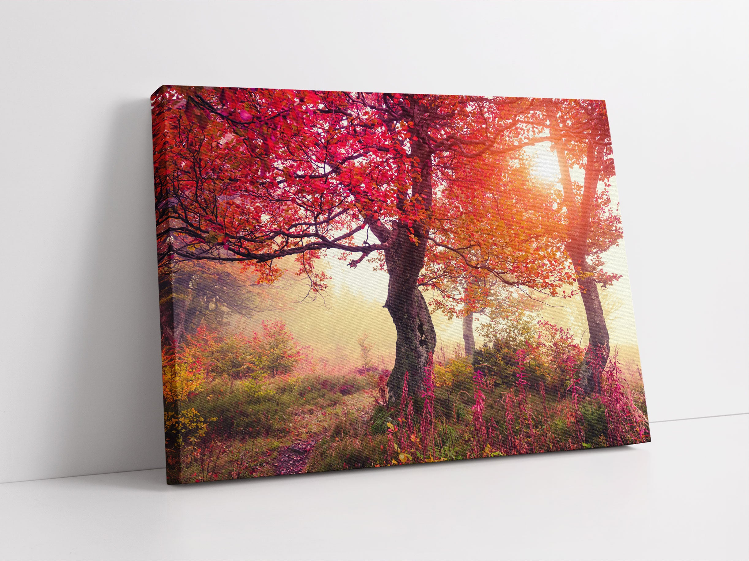 Traumhafte Herbstlandschaft Leinwandbild Studio