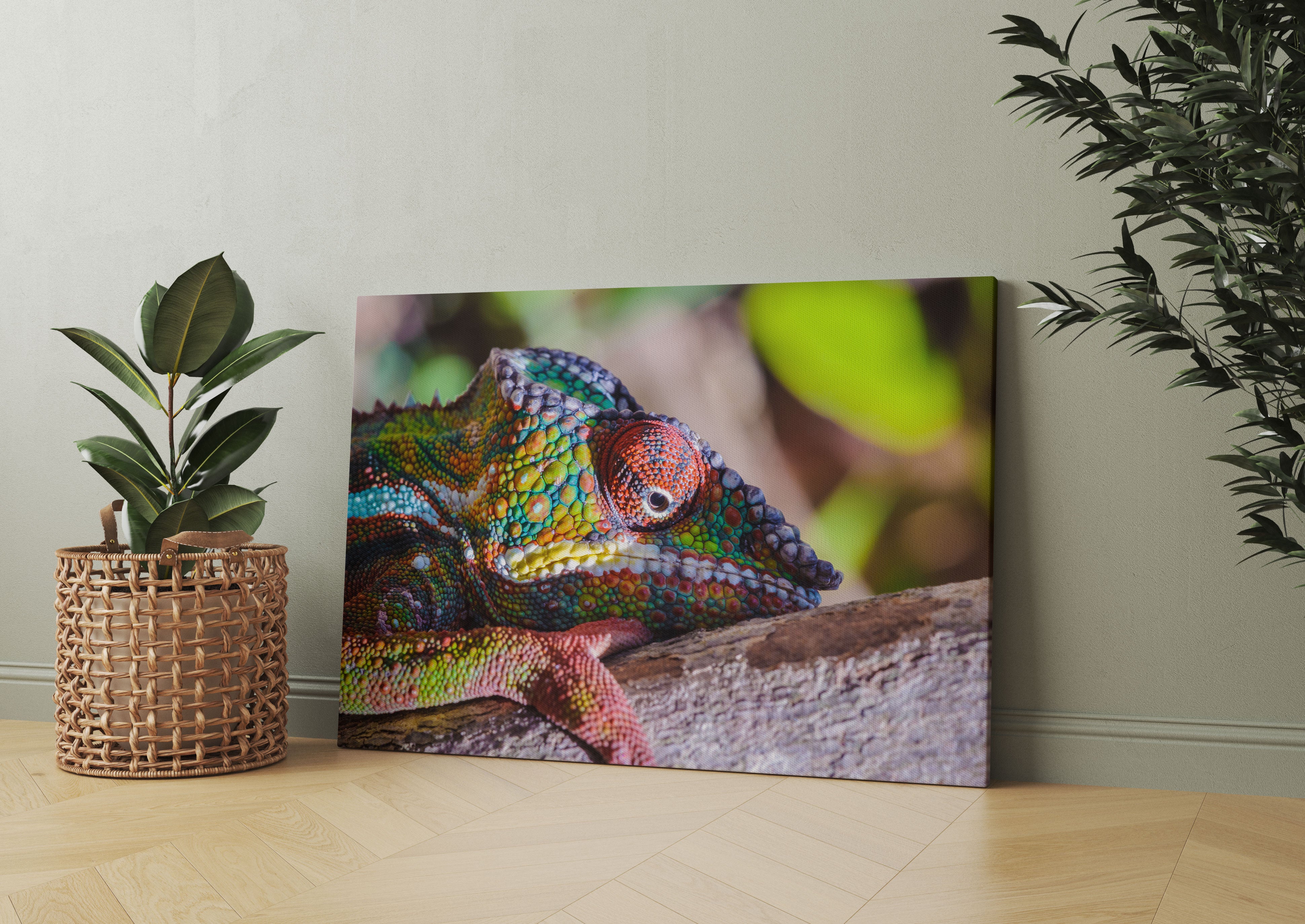 Chamäleon aus Madagaskar Leinwandbild Wohnzimmer