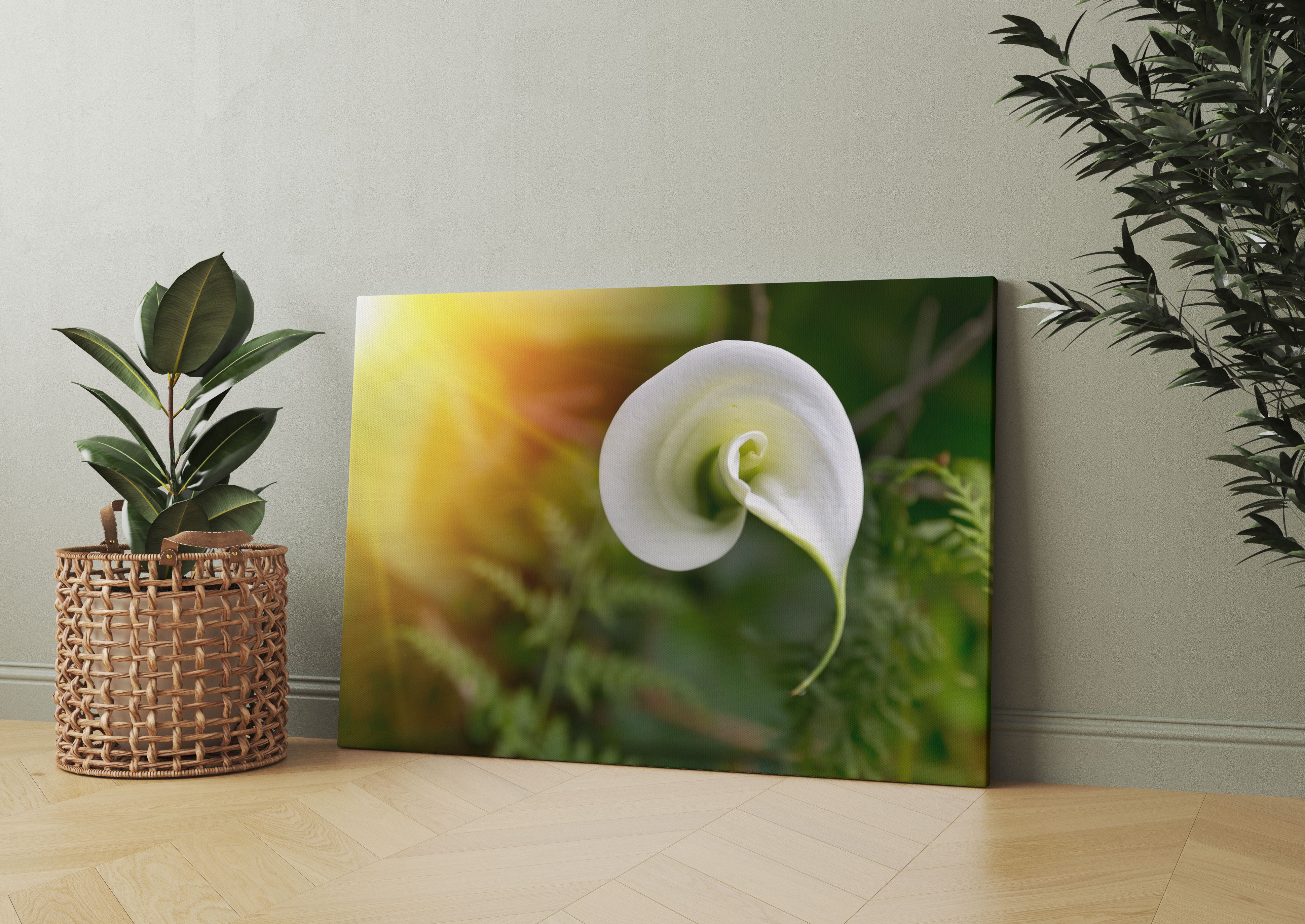 Calla Lilie Blüte Leinwandbild Wohnzimmer