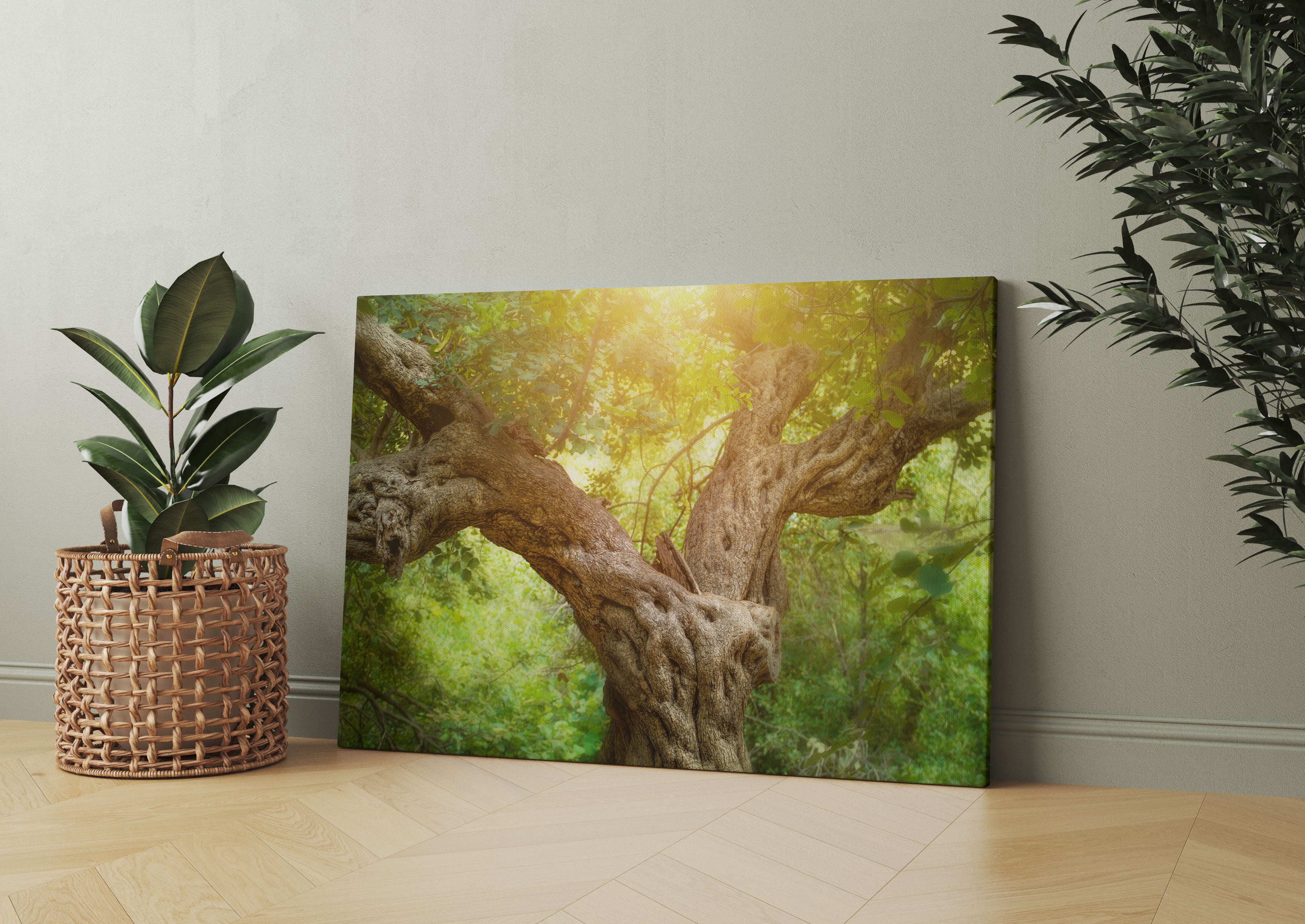 Mächtiger Baum im Wald Leinwandbild Wohnzimmer