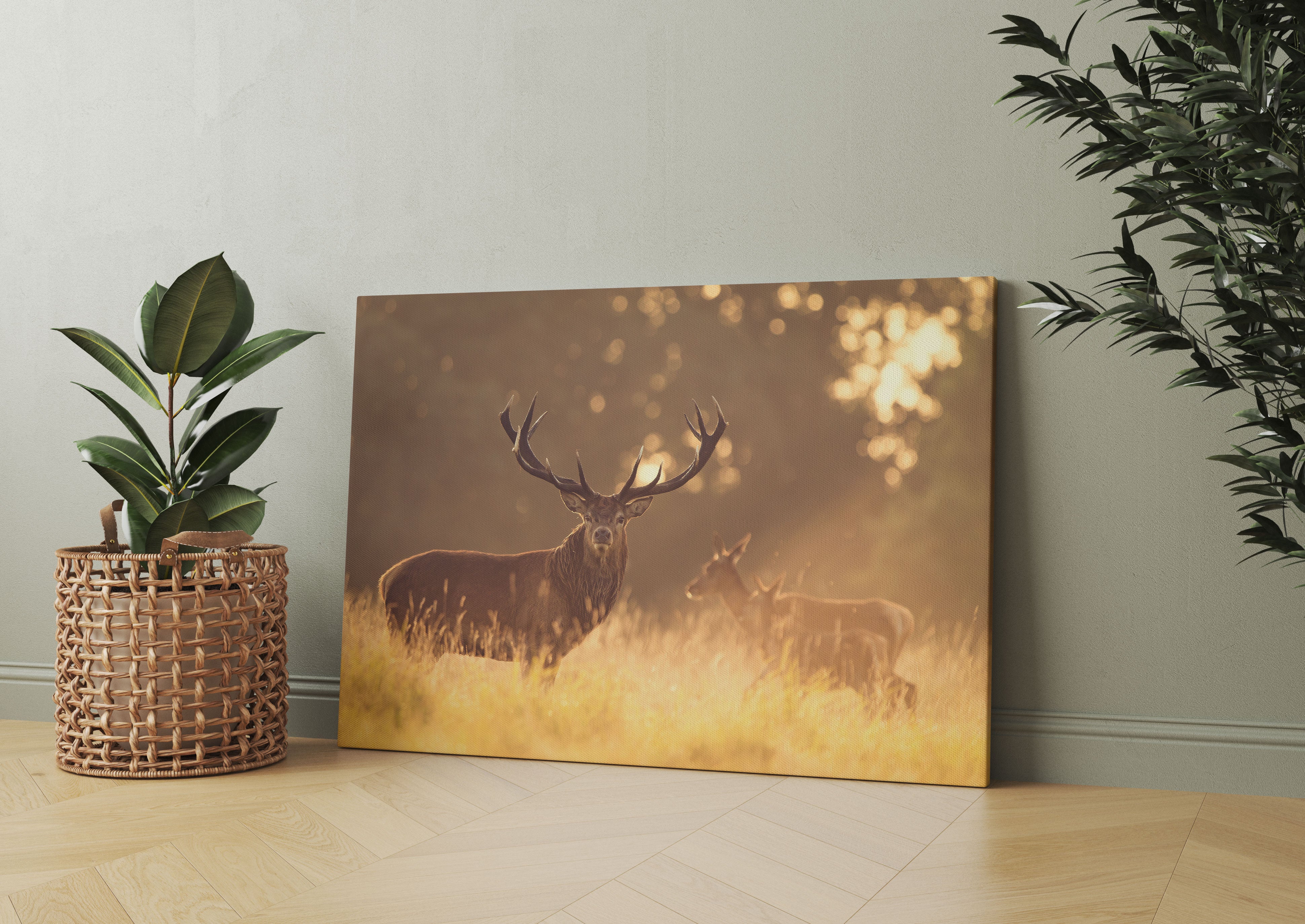 Rotwild im goldenen Morgenlicht Leinwandbild Wohnzimmer