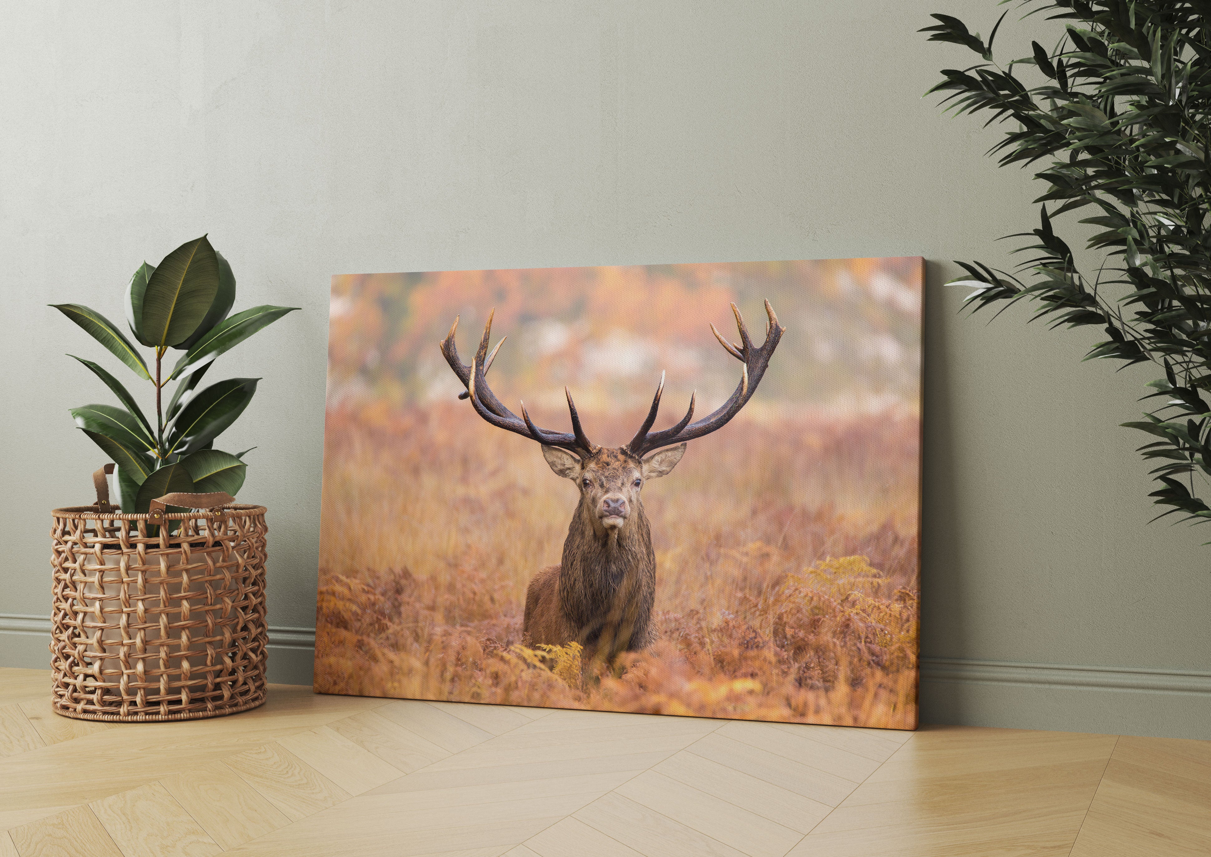 Großer Hirsch im Feld Leinwandbild Wohnzimmer