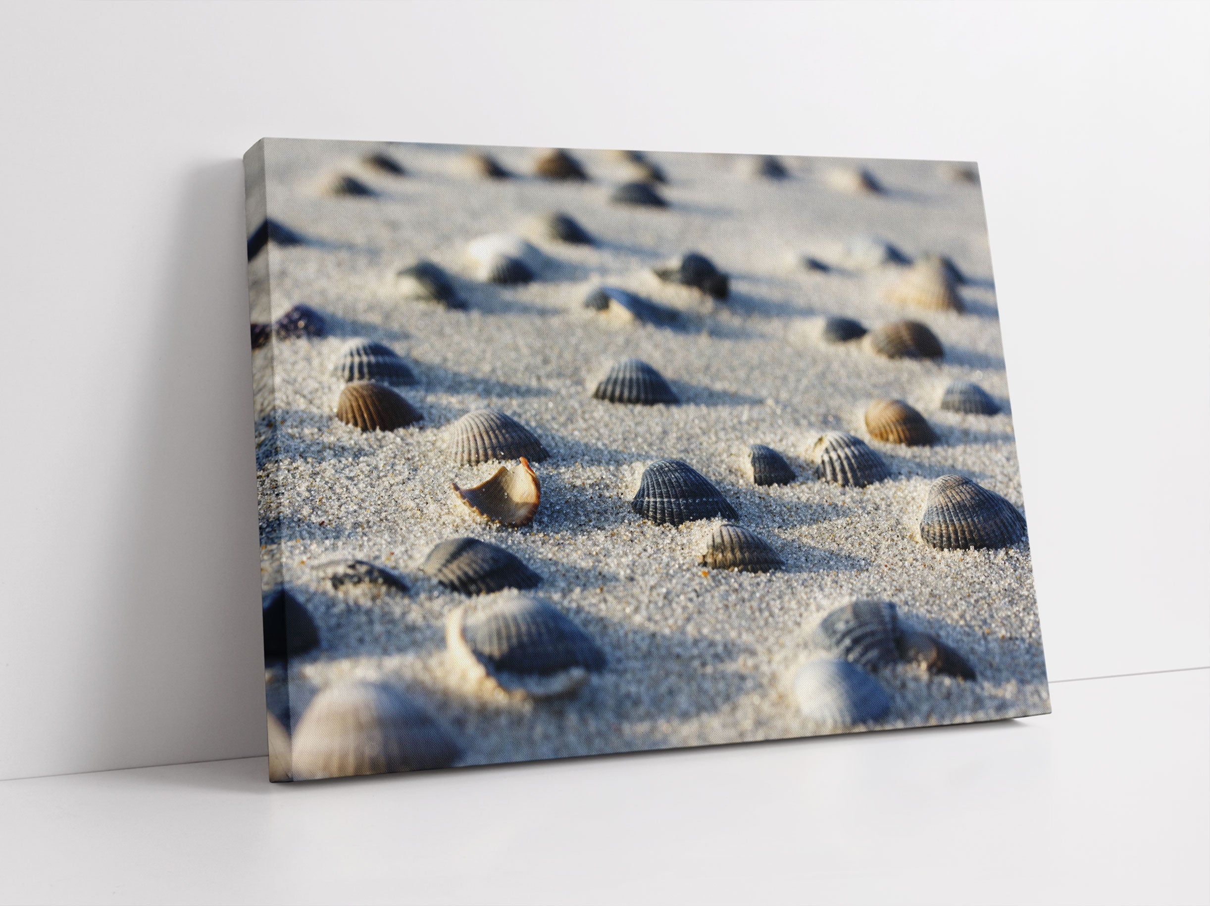 Muscheln im Sand Leinwandbild Studio