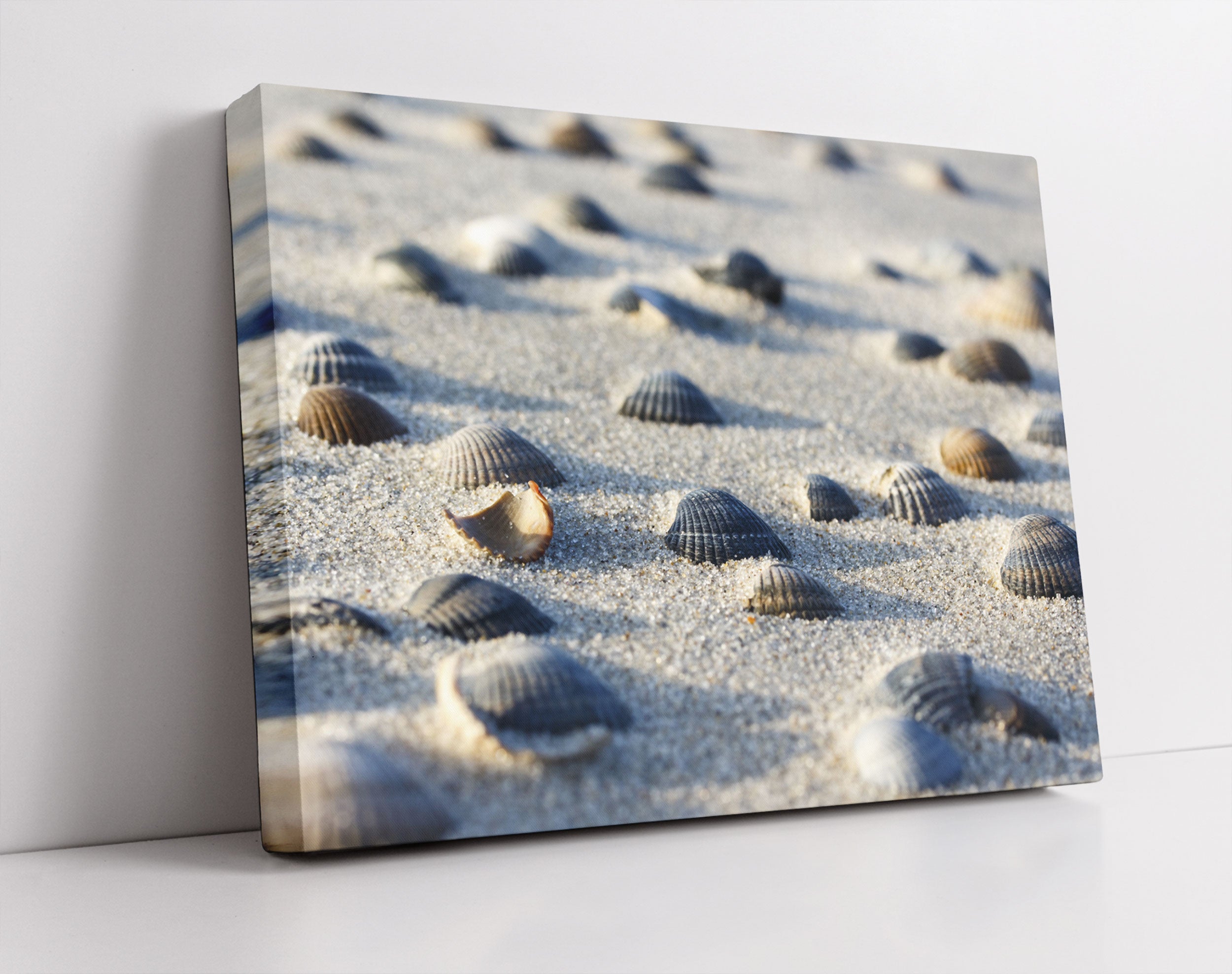 Muscheln im Sand - Leinwandbild