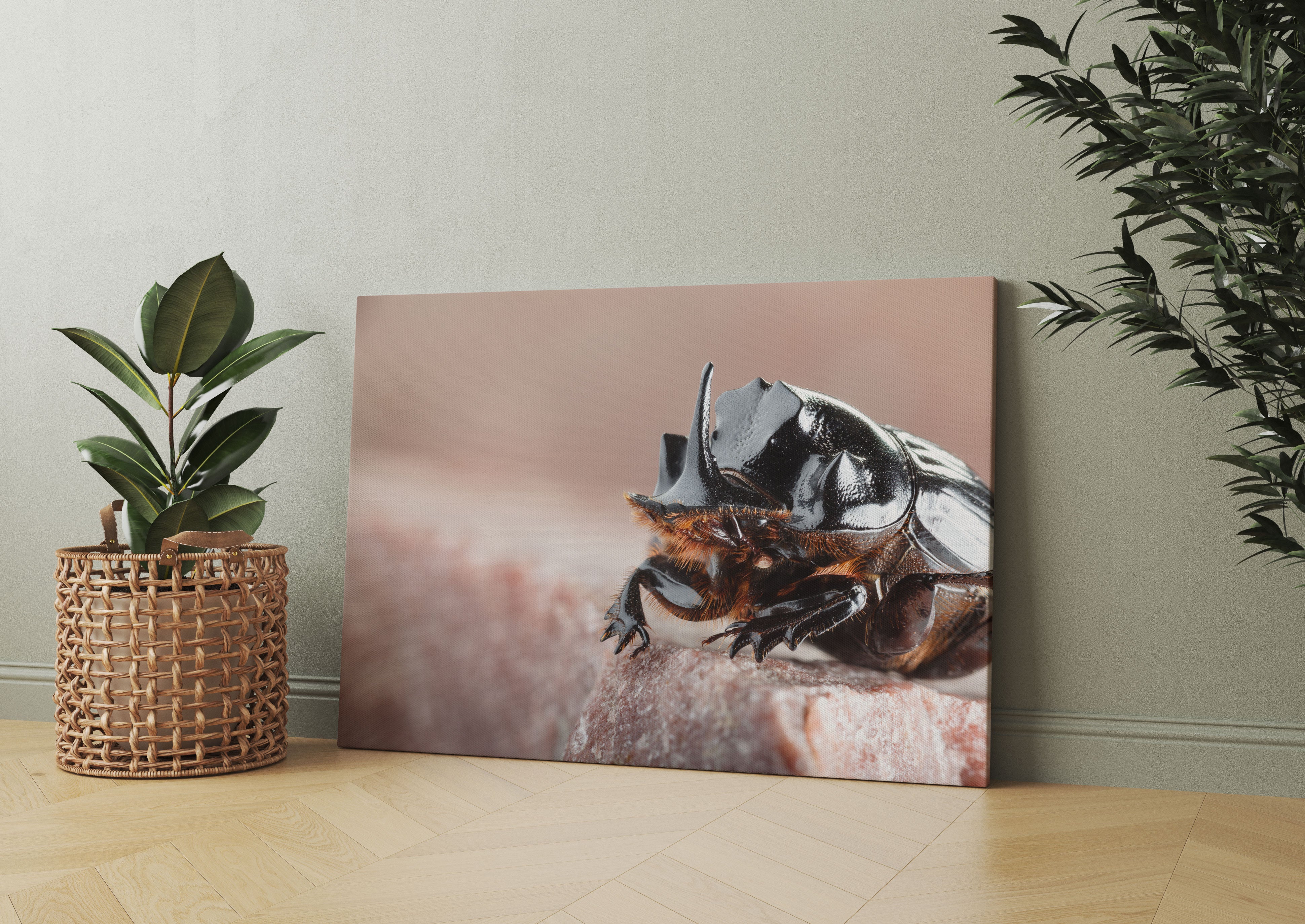 Nashornkäfer Porträt Leinwandbild Wohnzimmer