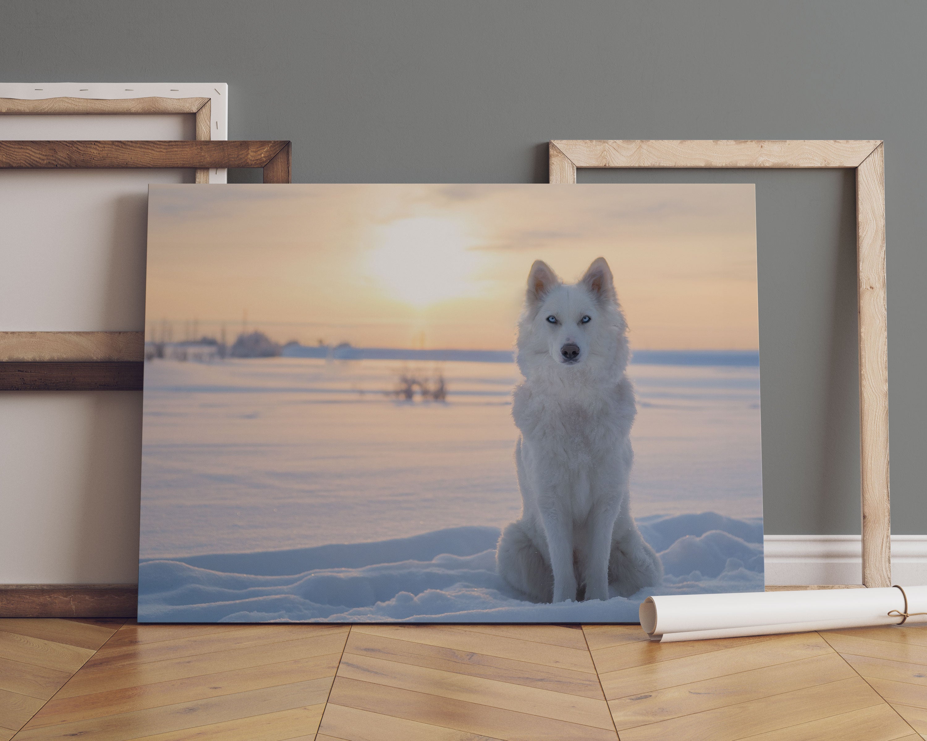 Weißer Wolf im Schnee Leinwandbild Sofa