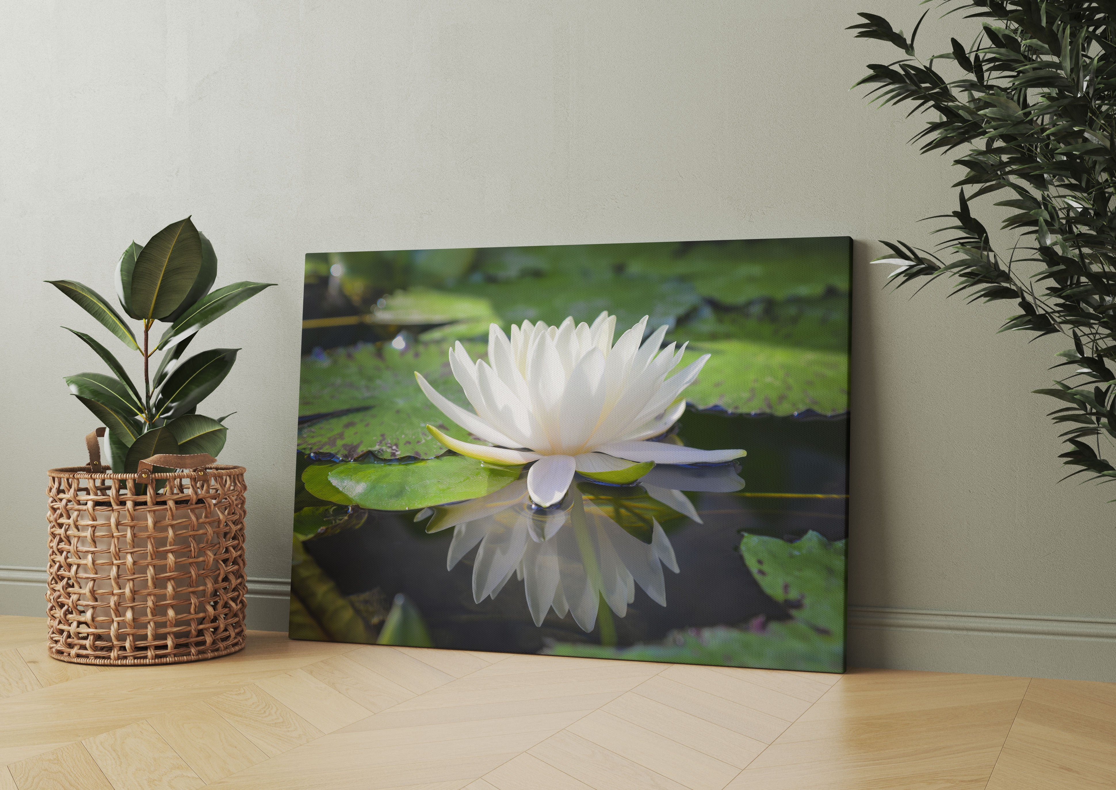 Weiße Lotusblume im Wasser Leinwandbild Wohnzimmer