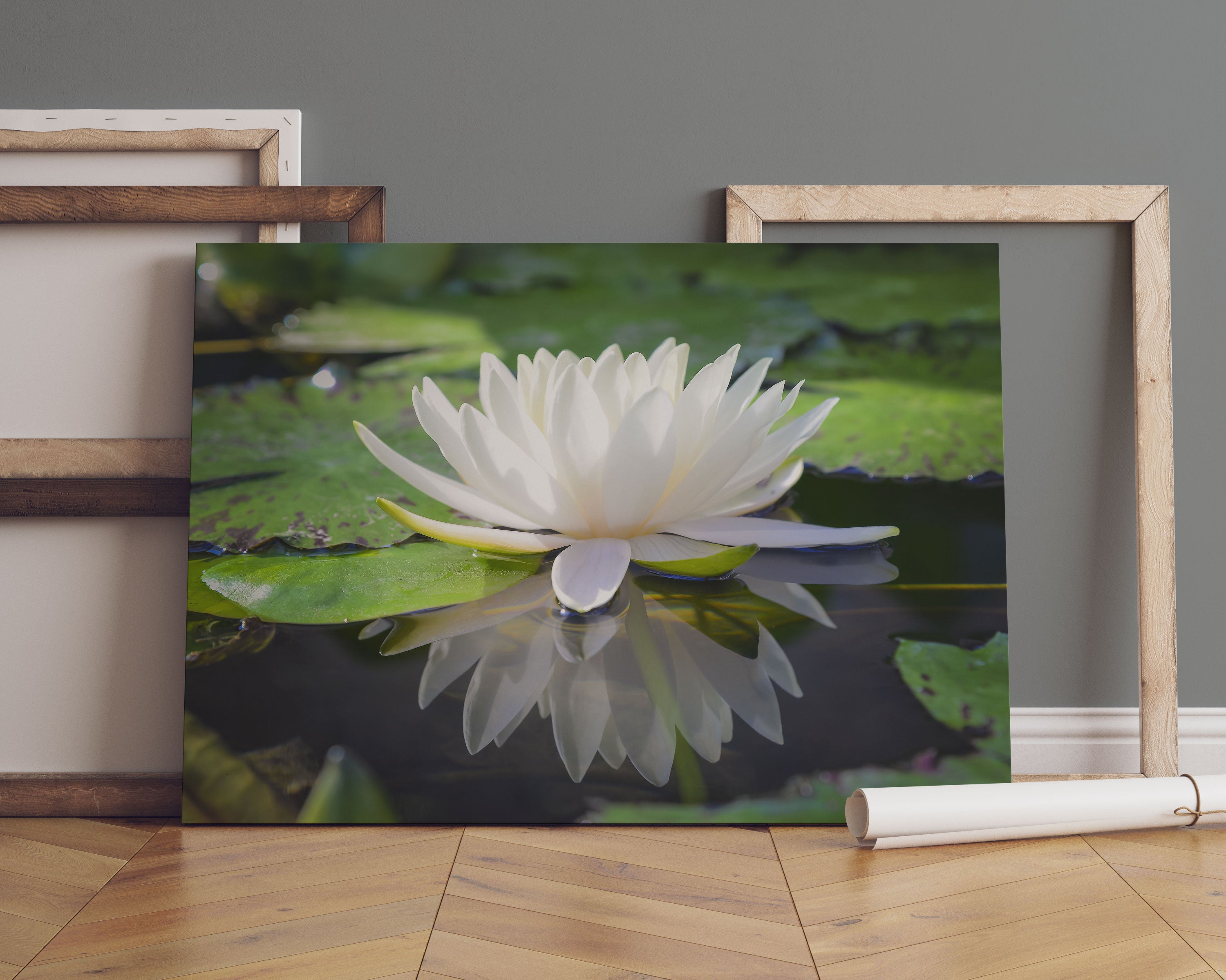 Weiße Lotusblume im Wasser Leinwandbild Sofa