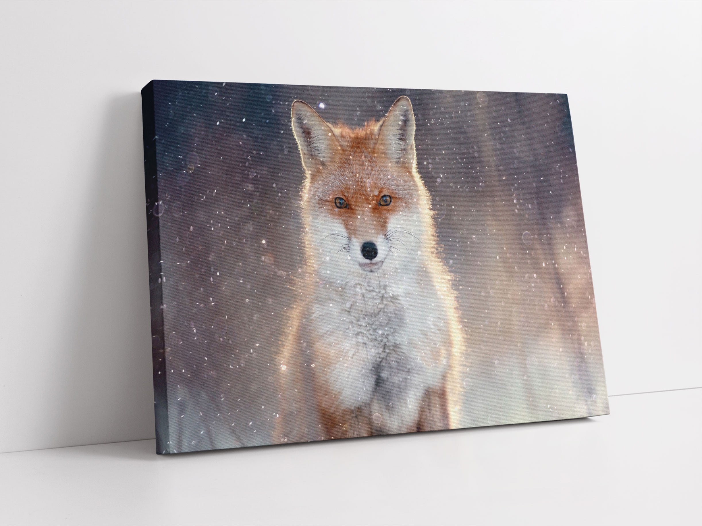 Roter Fuchs im Winter Leinwandbild Studio