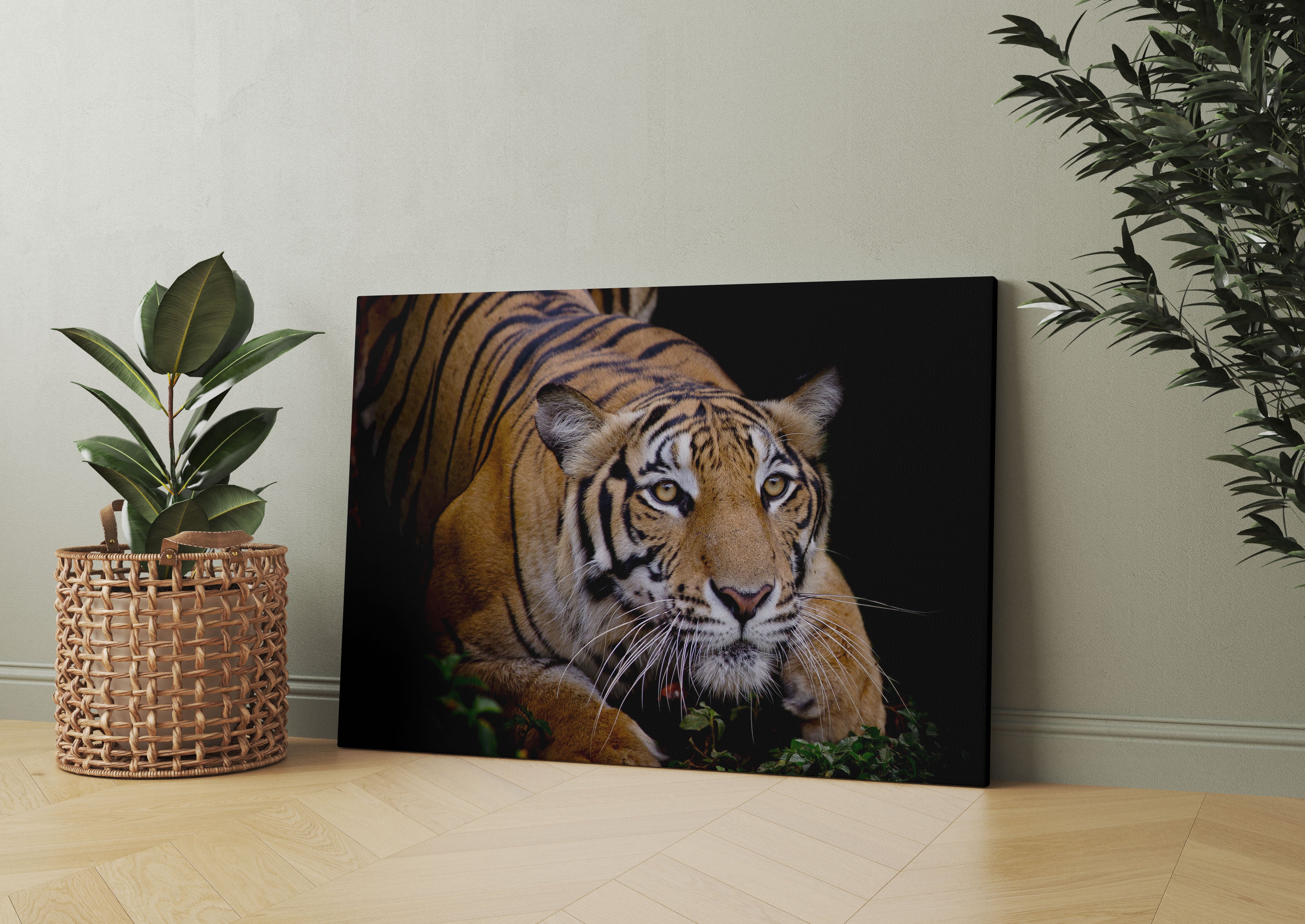 Mächtiger lauernder Tiger Leinwandbild Wohnzimmer