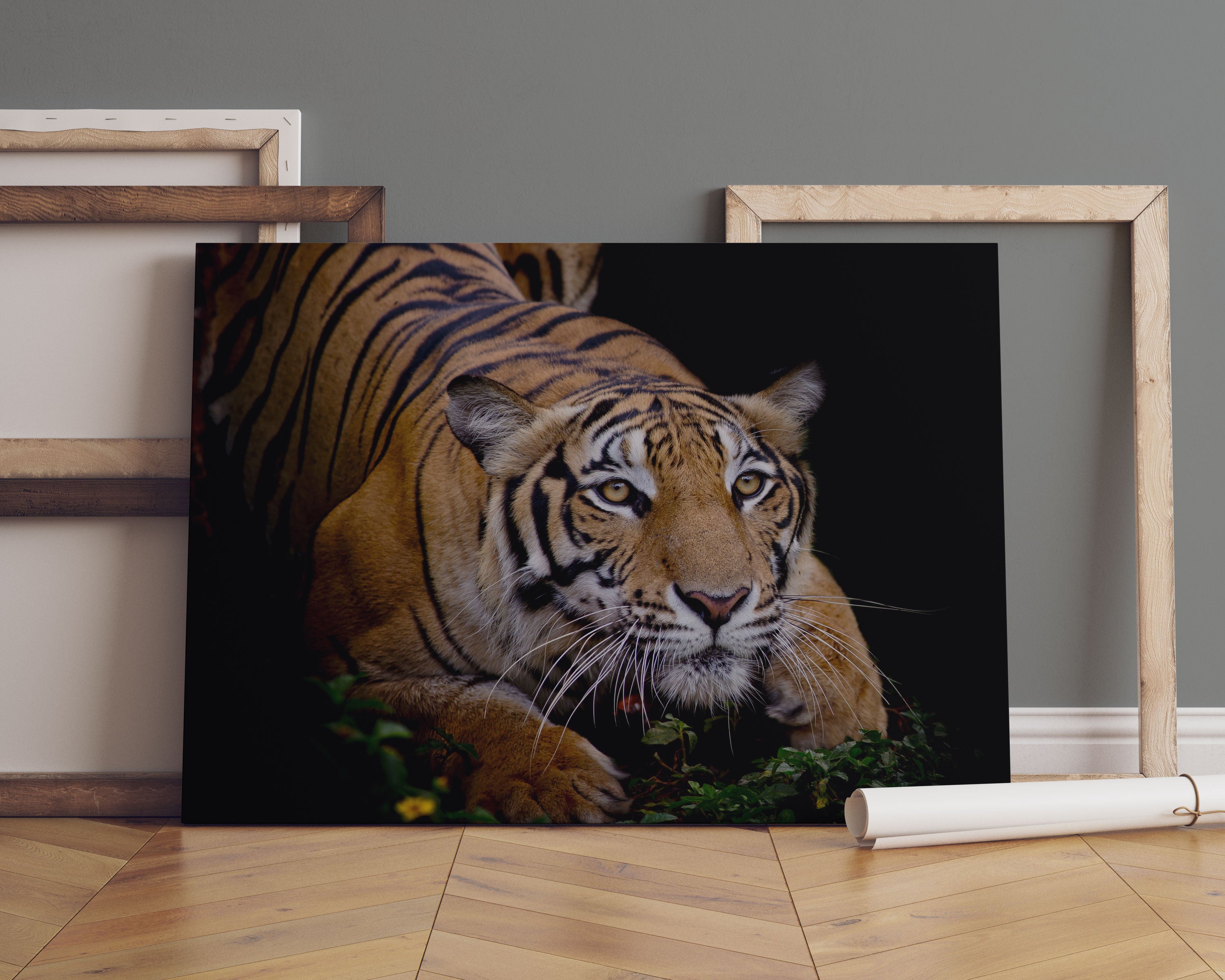 Mächtiger lauernder Tiger Leinwandbild Sofa