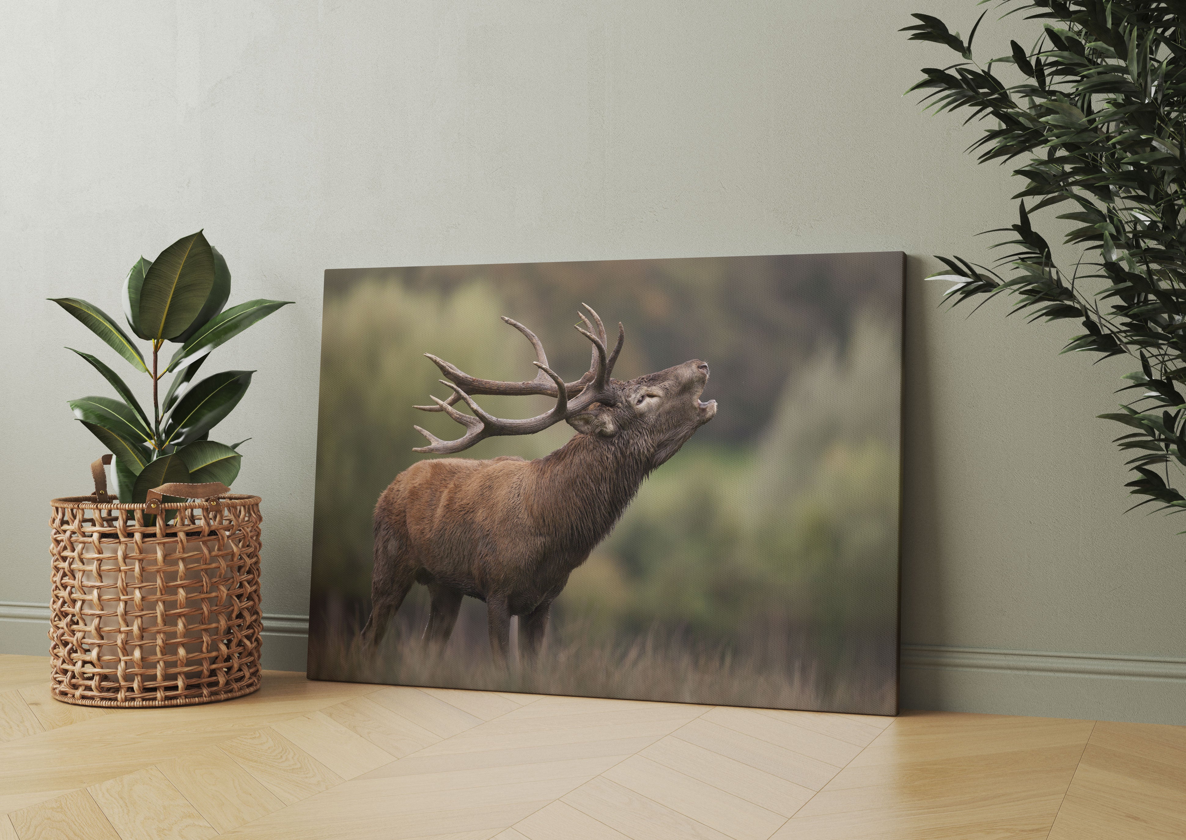 Röhrender Hirsch mit mächtigem Geweih Leinwandbild Wohnzimmer