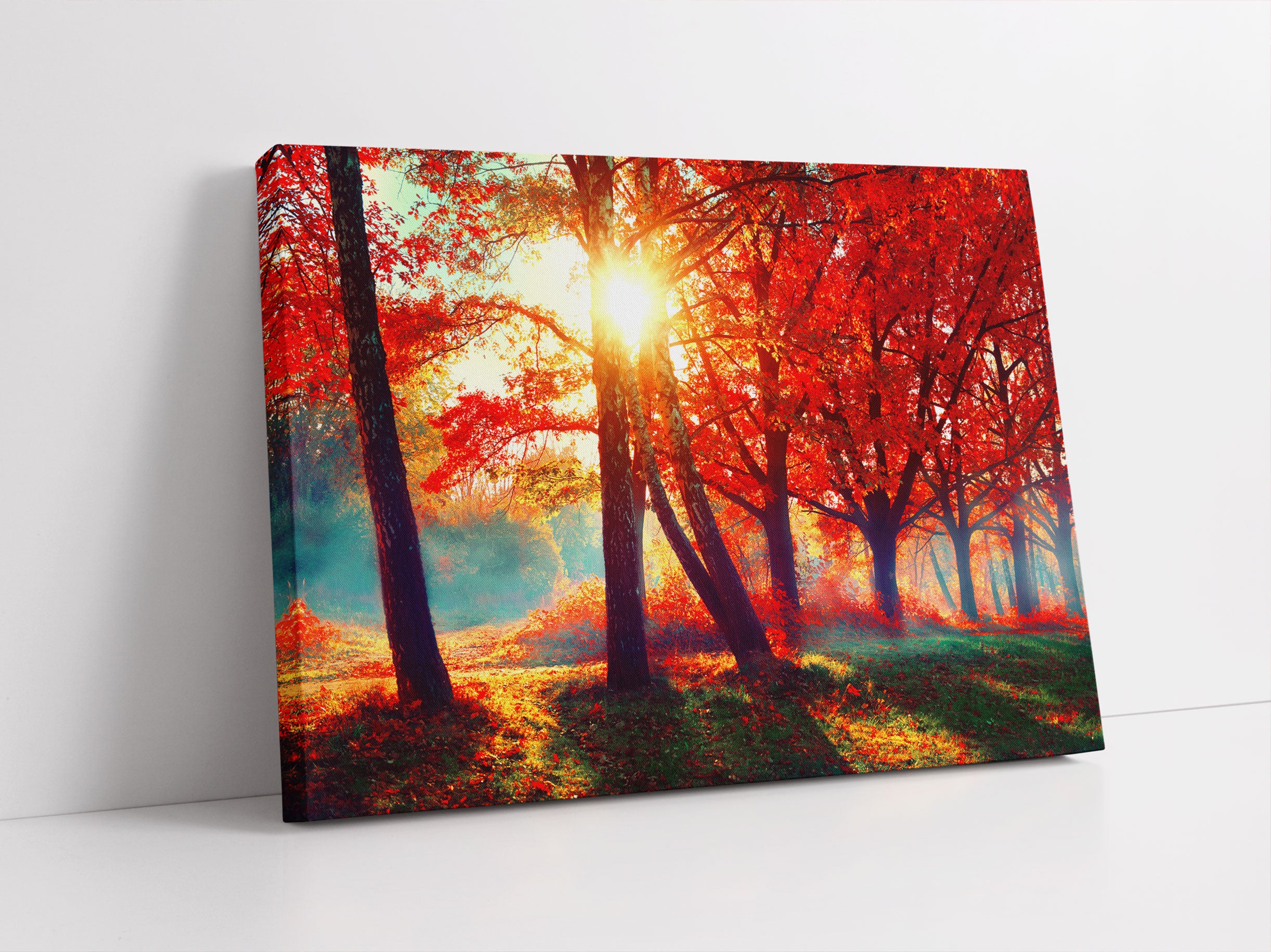 Bunte Herbstbäume sonnenbestrahlt Leinwandbild Studio