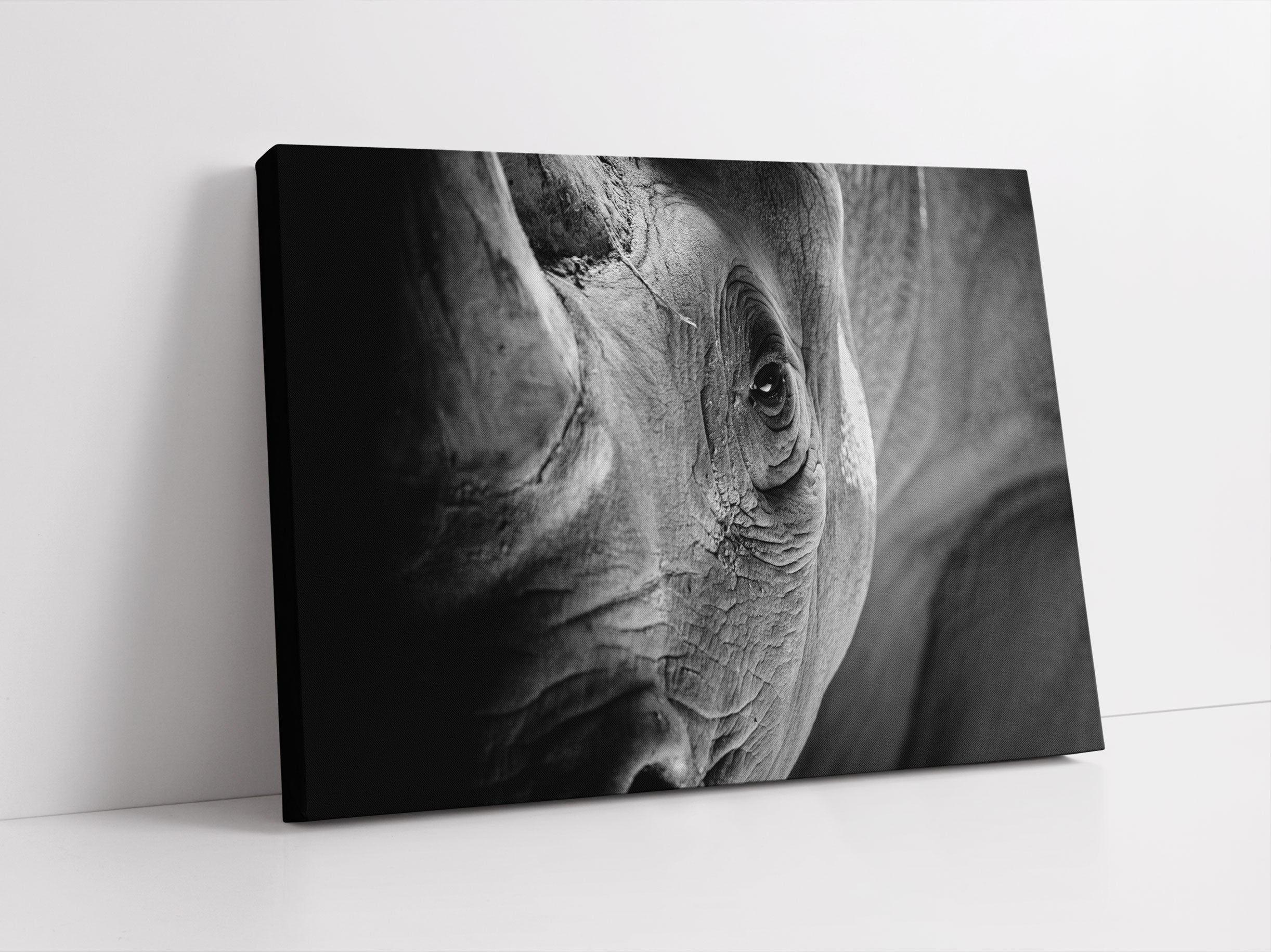 Nahaufnahme eines Nashorn Schwarz-weiß Leinwandbild Studio