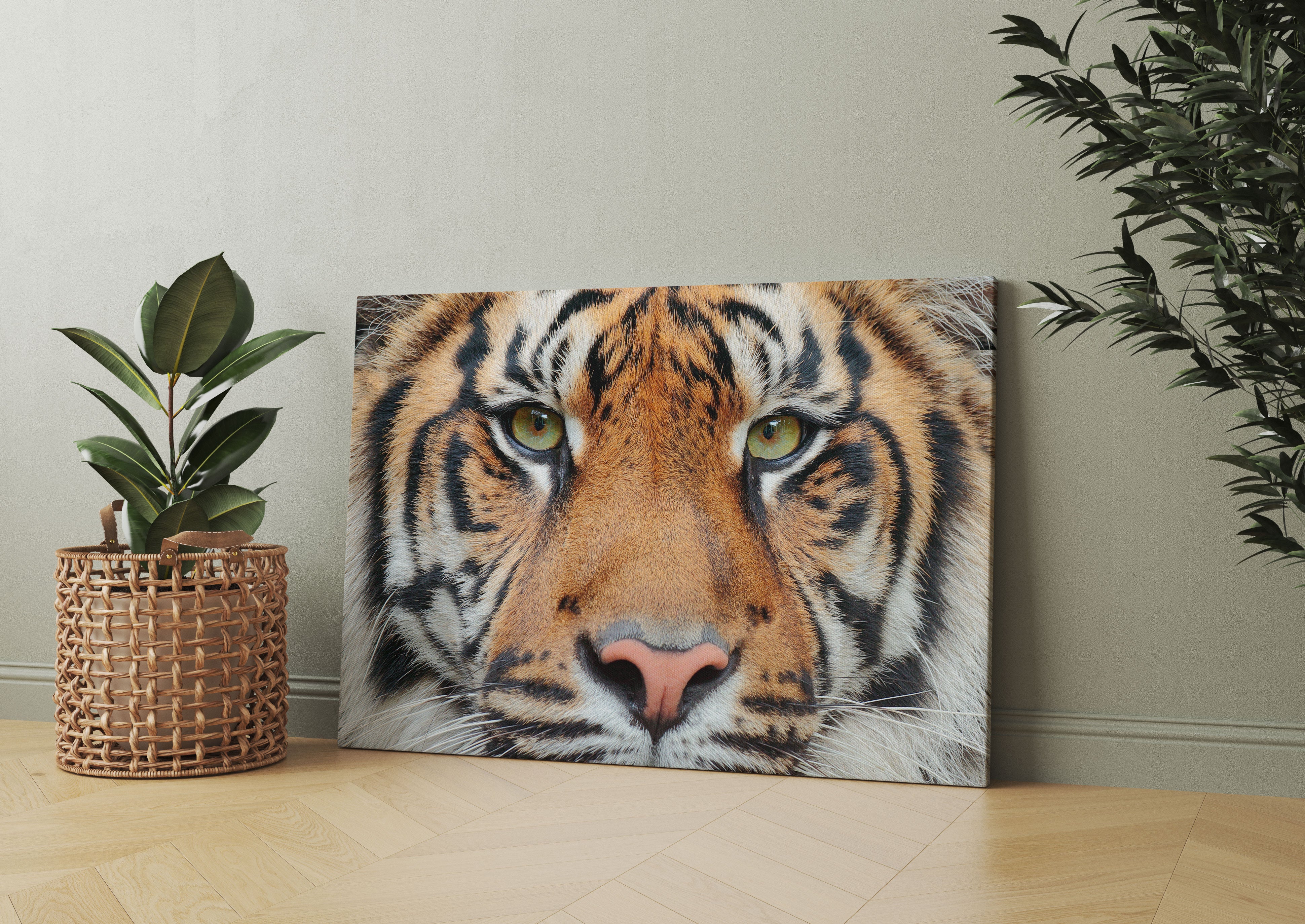 Nahaufnahme Sumatra Tiger Leinwandbild Wohnzimmer