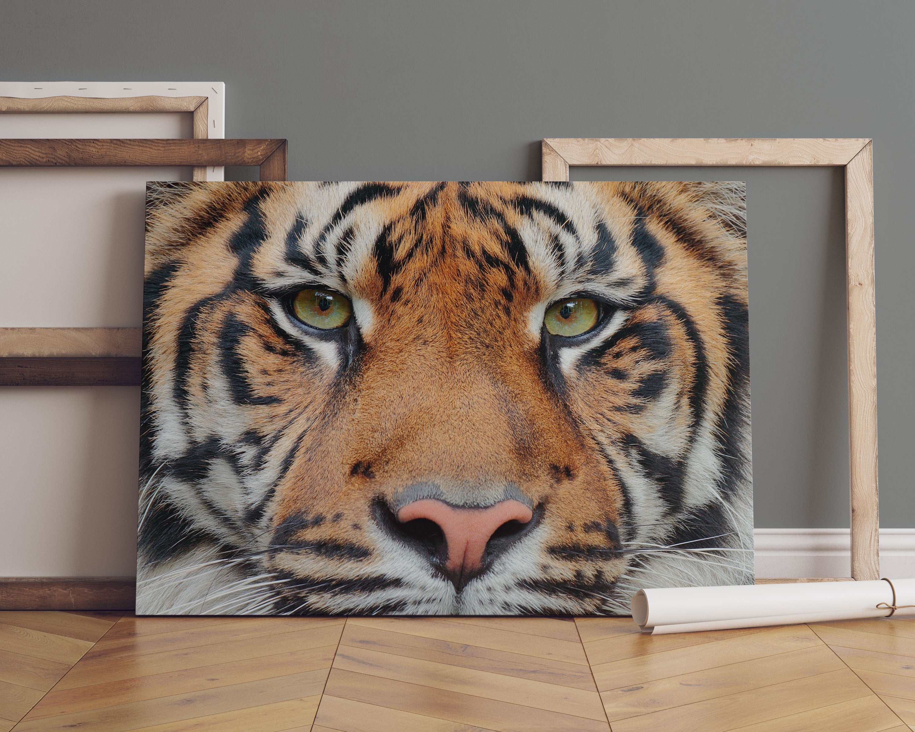 Nahaufnahme Sumatra Tiger Leinwandbild Sofa