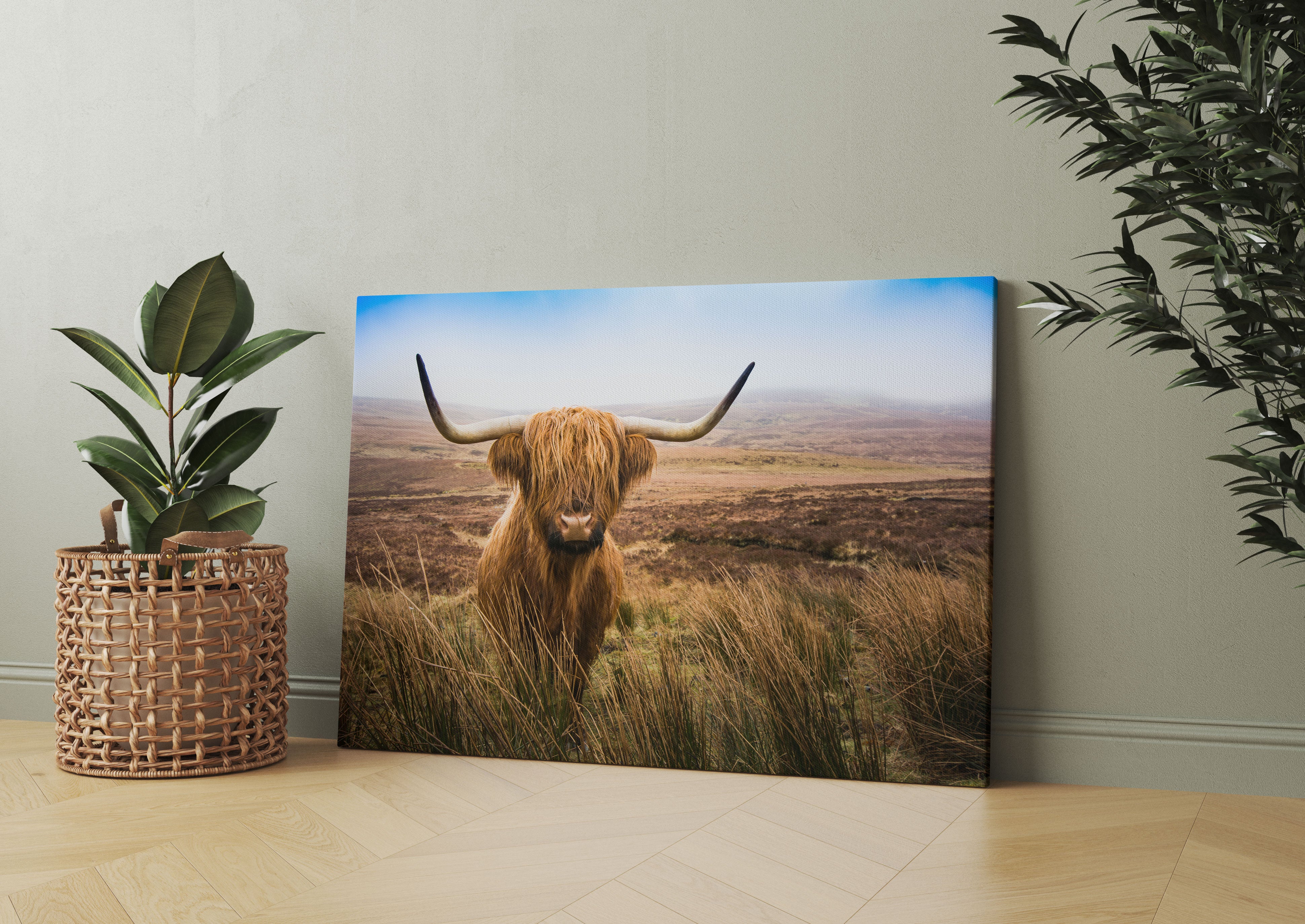 Highland Rind mit großen Hörnern Steppe Leinwandbild Wohnzimmer