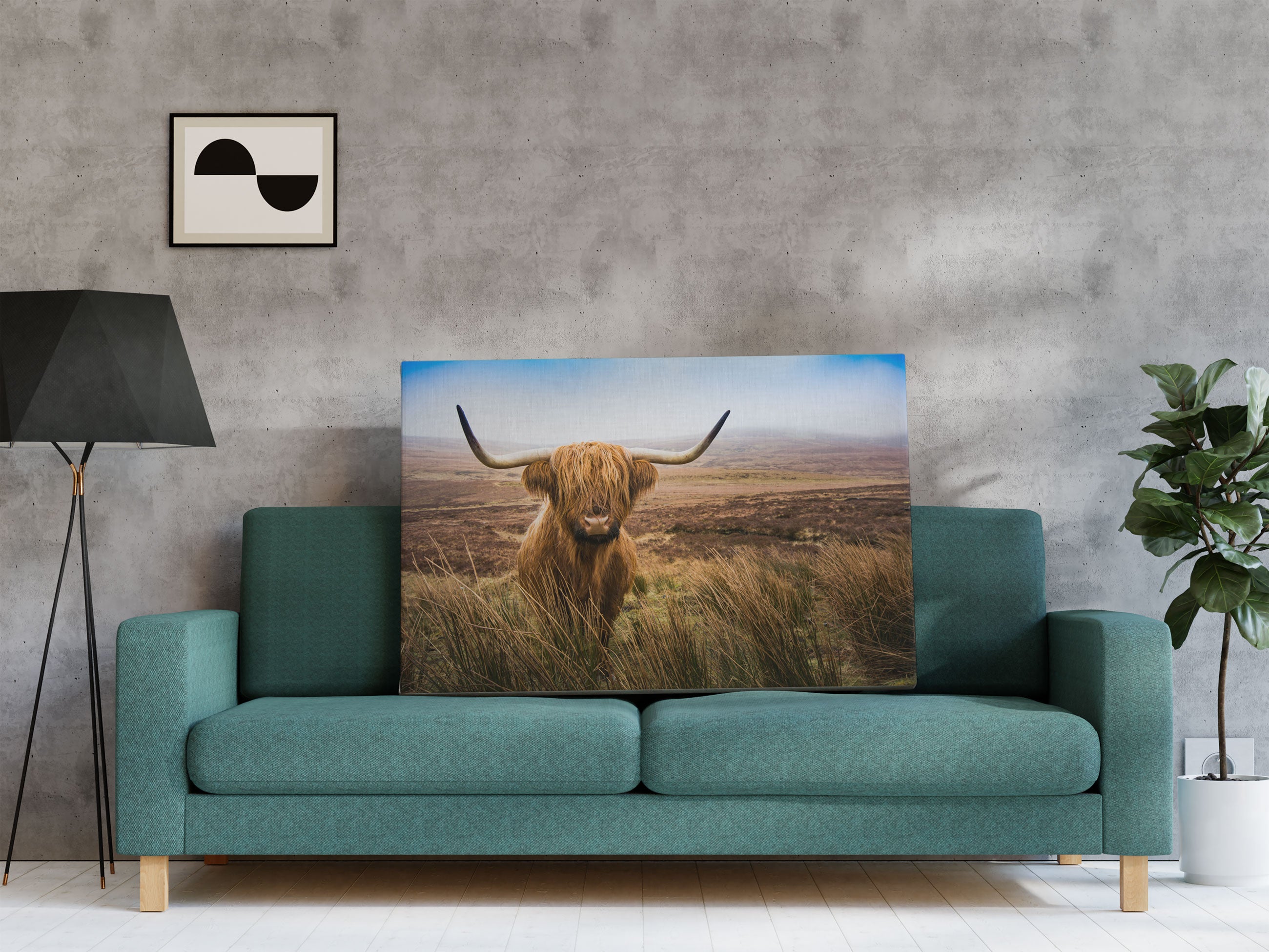 Highland Rind mit großen Hörnern Steppe Leinwandbild Regal