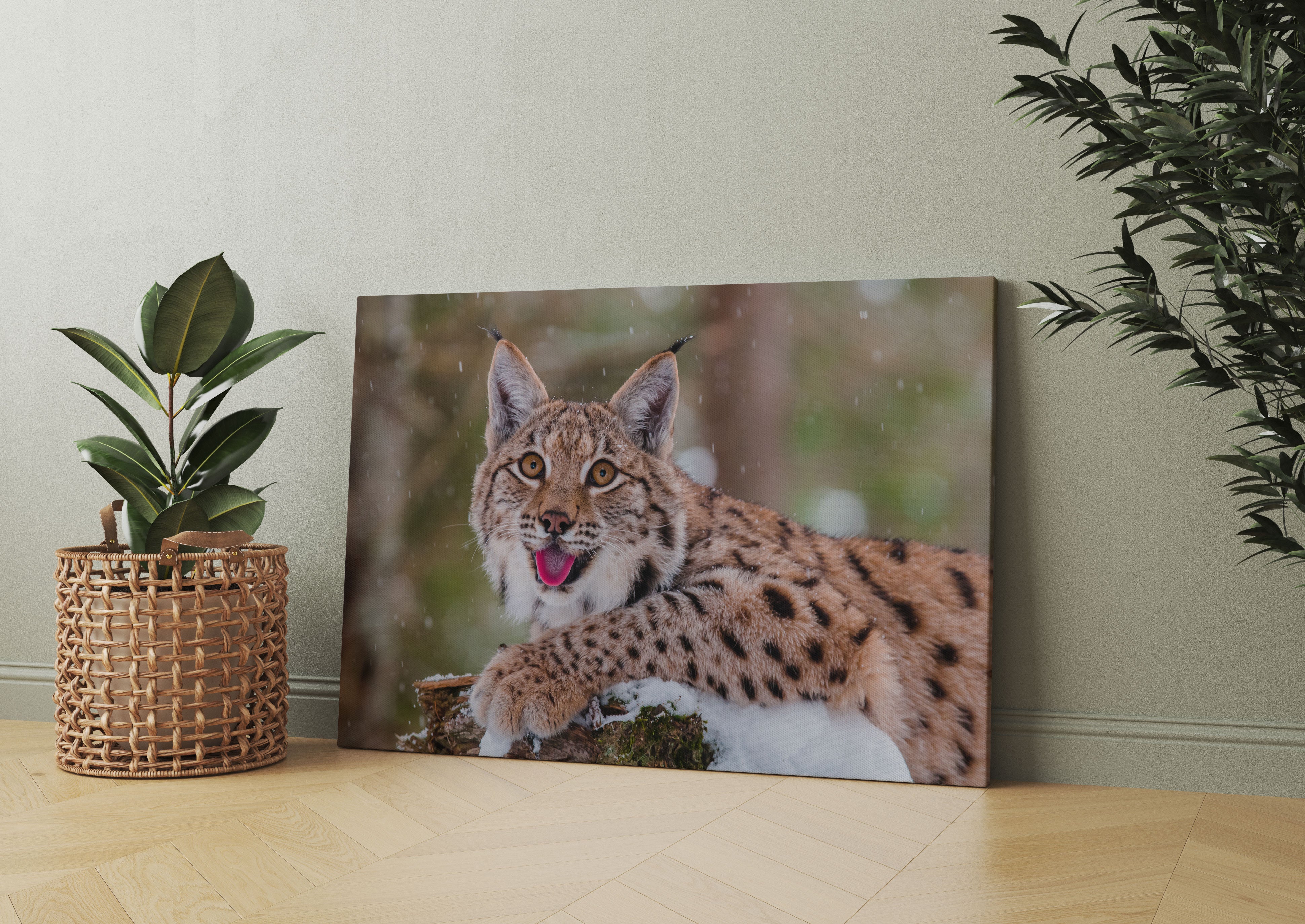 Luchs auf schneebedecktem Baumstumpf Leinwandbild Wohnzimmer