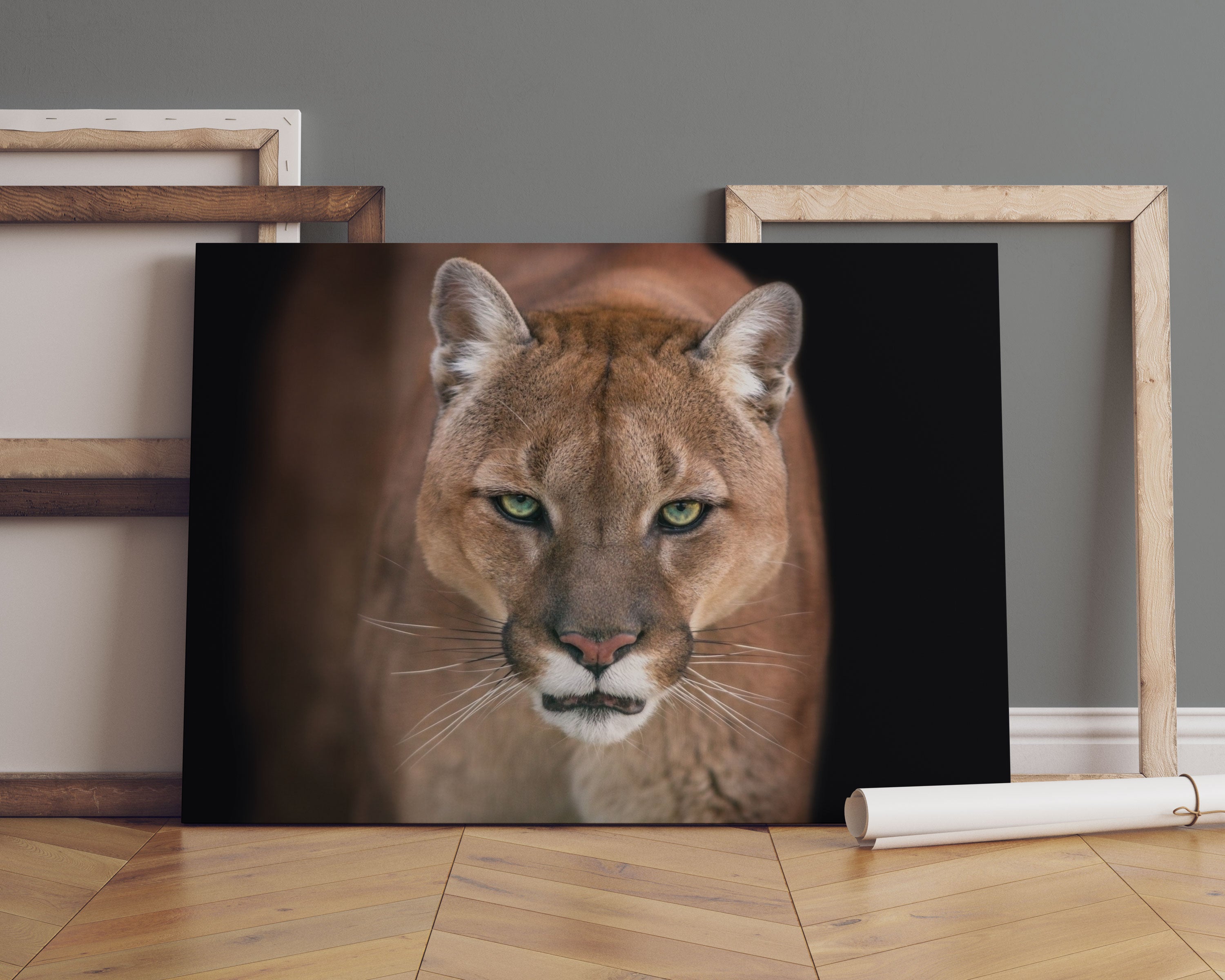 Bedrohlicher Puma Nahaufnahme Leinwandbild Sofa