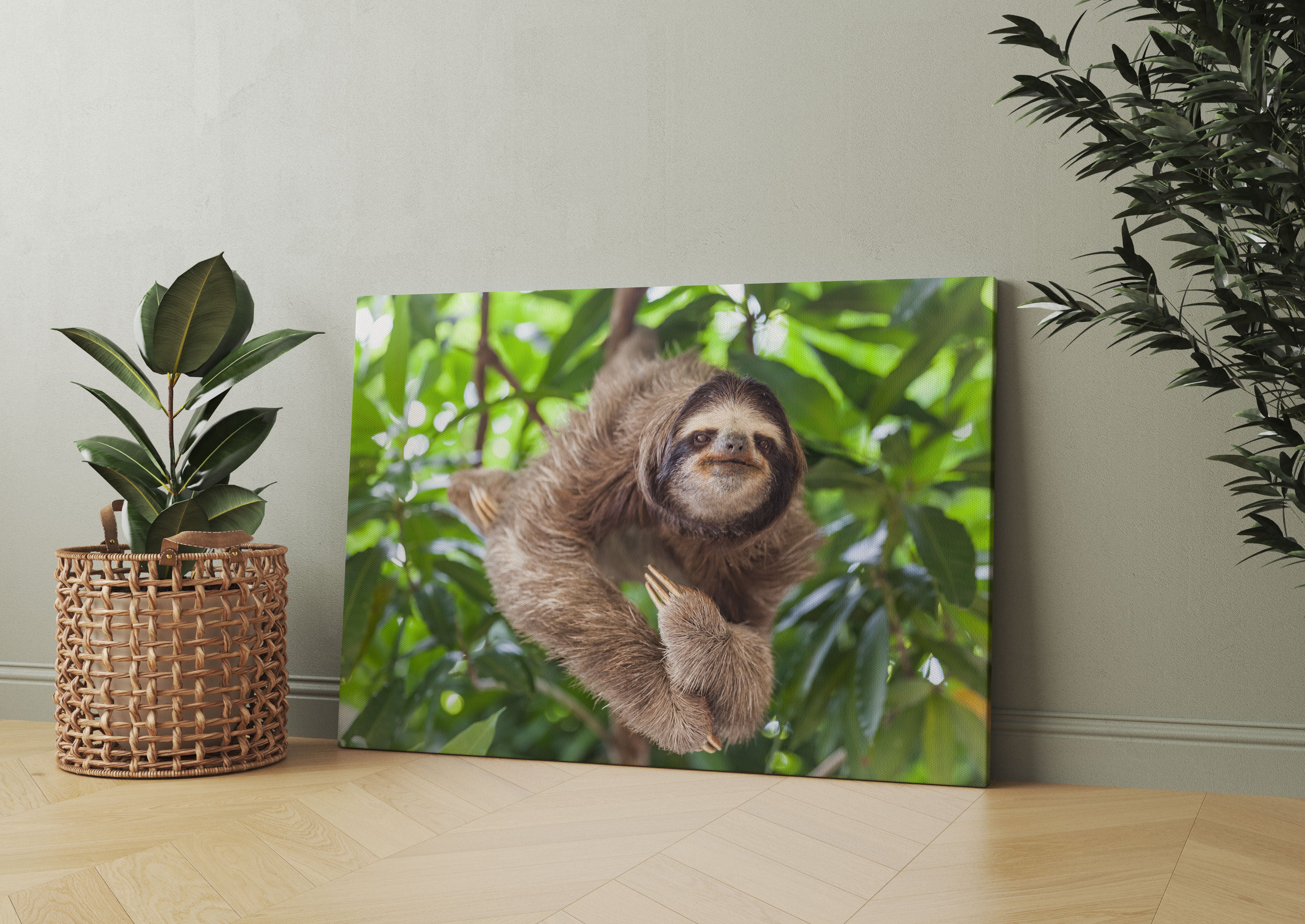 Lustiges Faultier hängt an Baum Leinwandbild Wohnzimmer