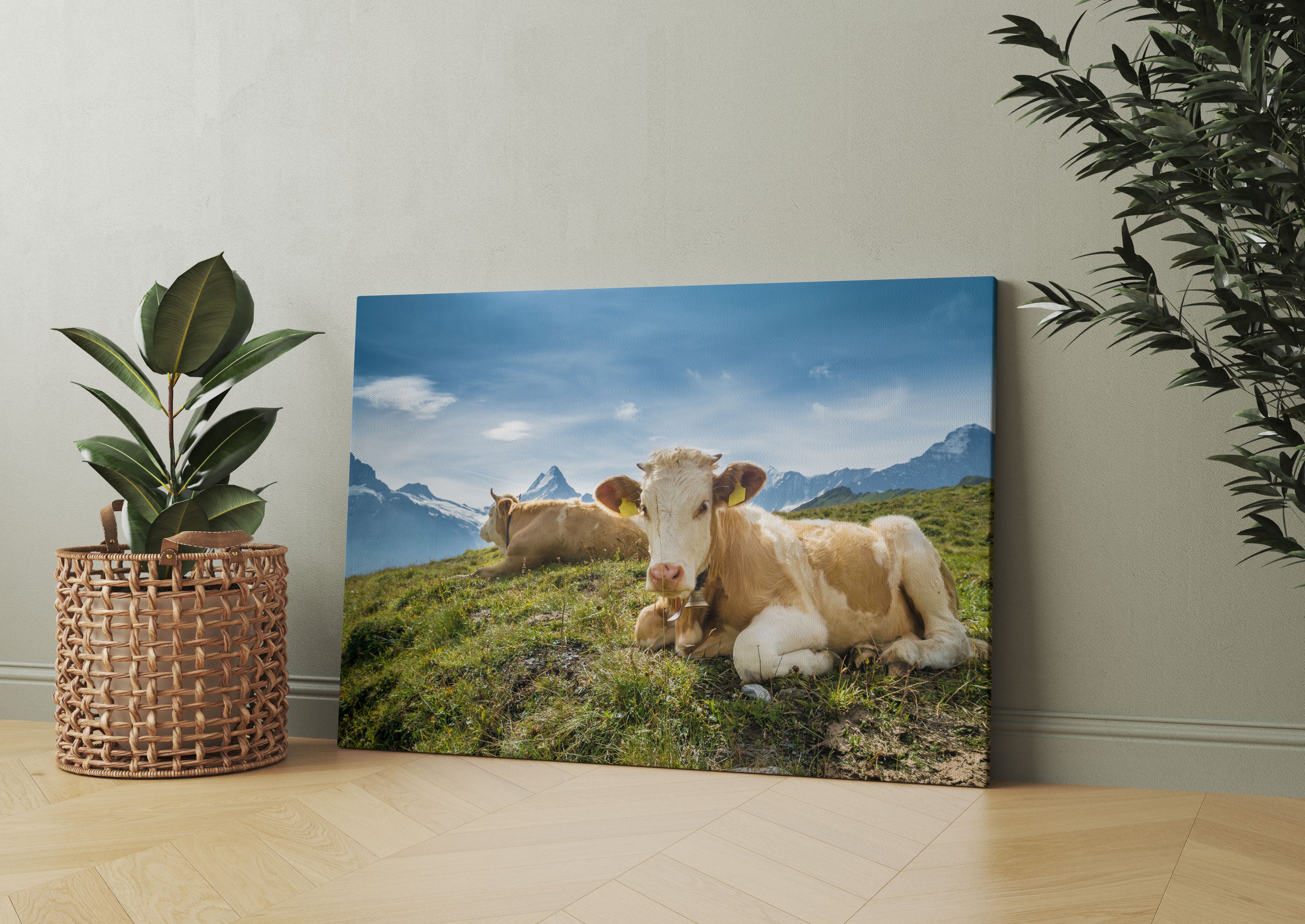 Simmentaler Kühe vor Schweizer Alpen Leinwandbild Wohnzimmer