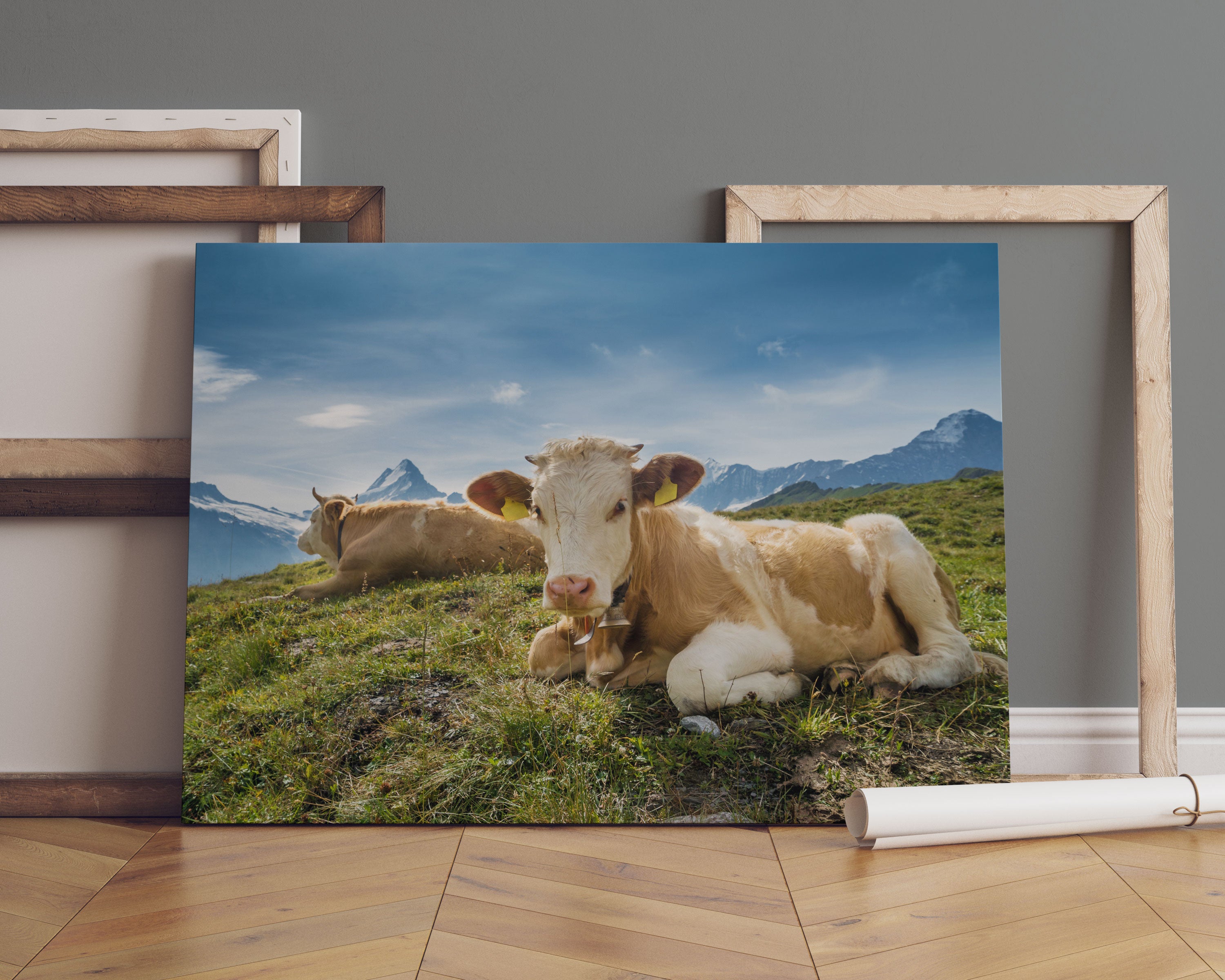 Simmentaler Kühe vor Schweizer Alpen Leinwandbild Sofa