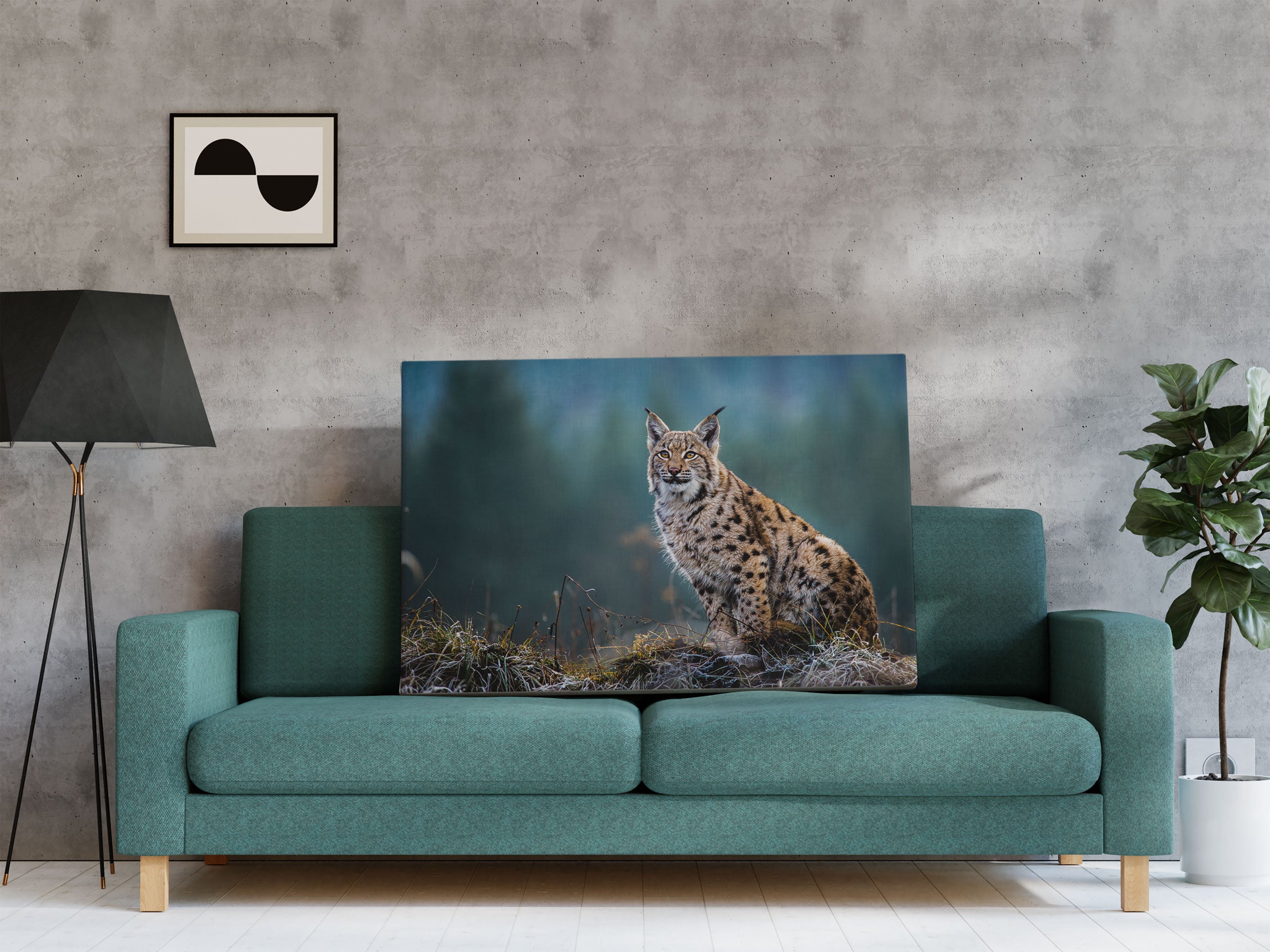 Europäischer Luchs auf Wiese Leinwandbild Regal