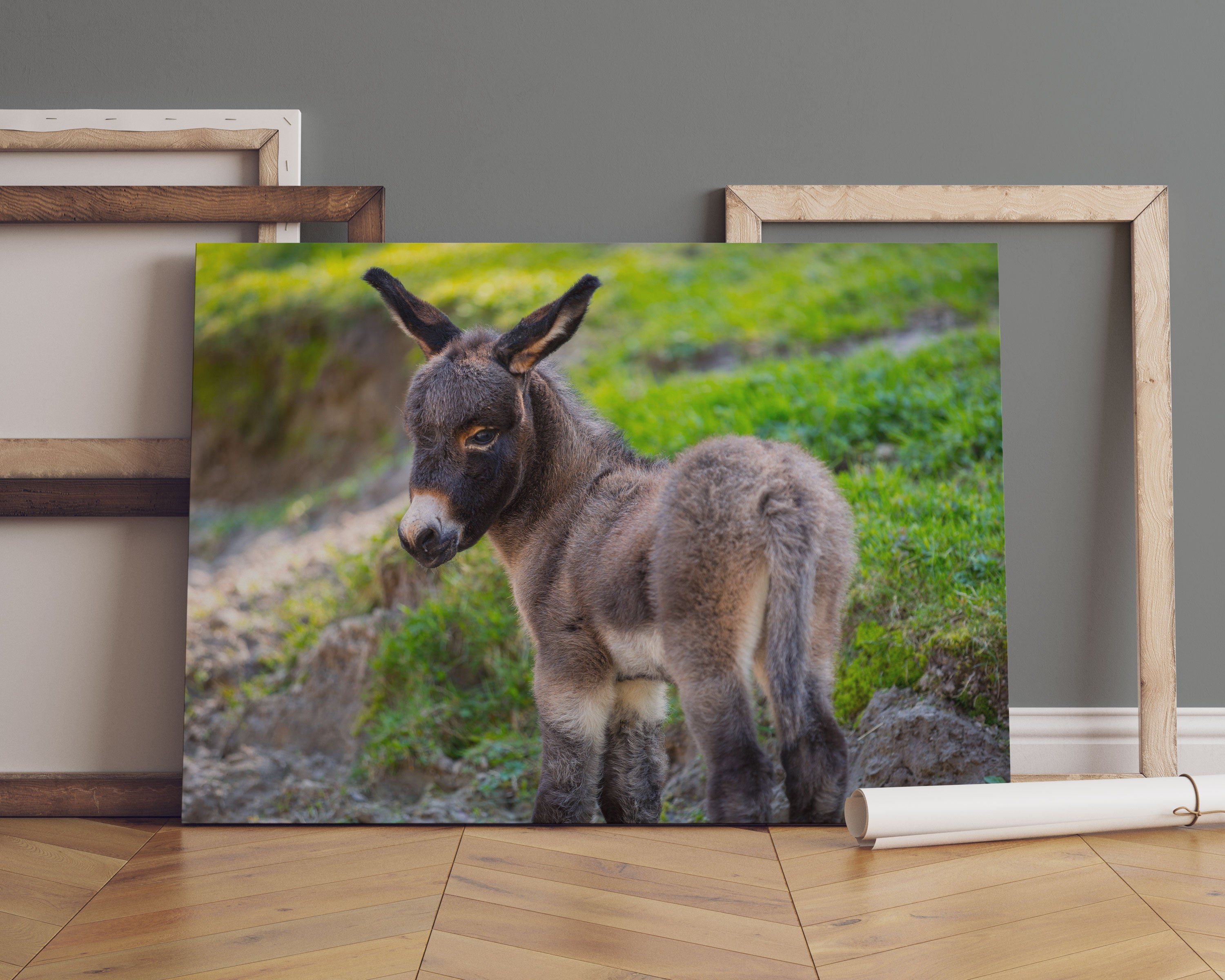 Niedliches Eselkind auf Bergwiese Leinwandbild Sofa