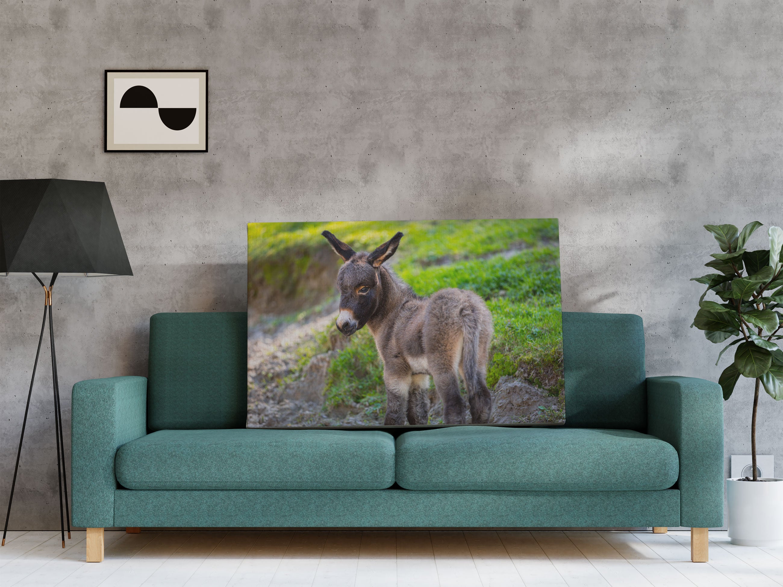 Niedliches Eselkind auf Bergwiese Leinwandbild Regal