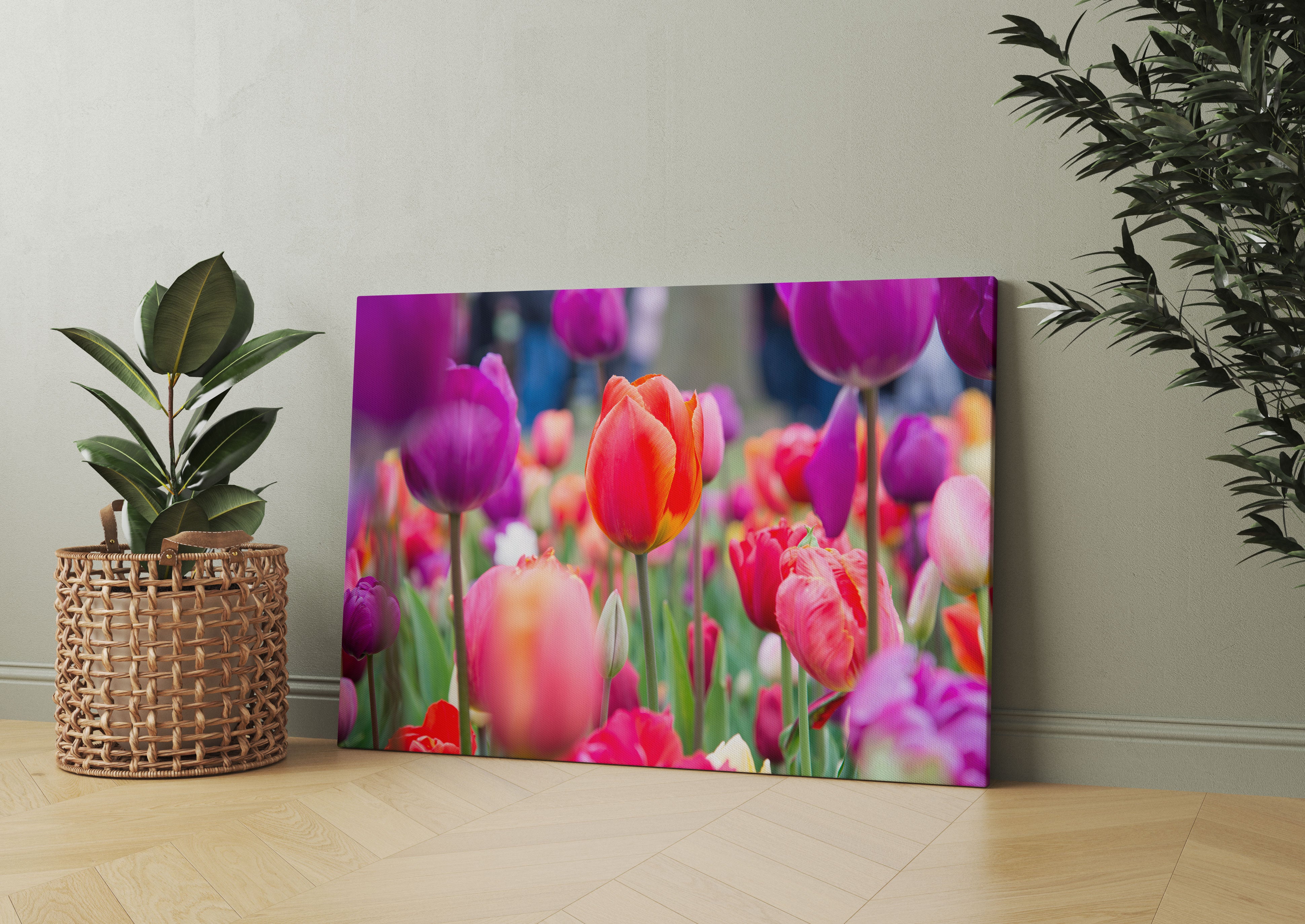 Bunte holländische Tulpen Nahaufnahme Leinwandbild Wohnzimmer