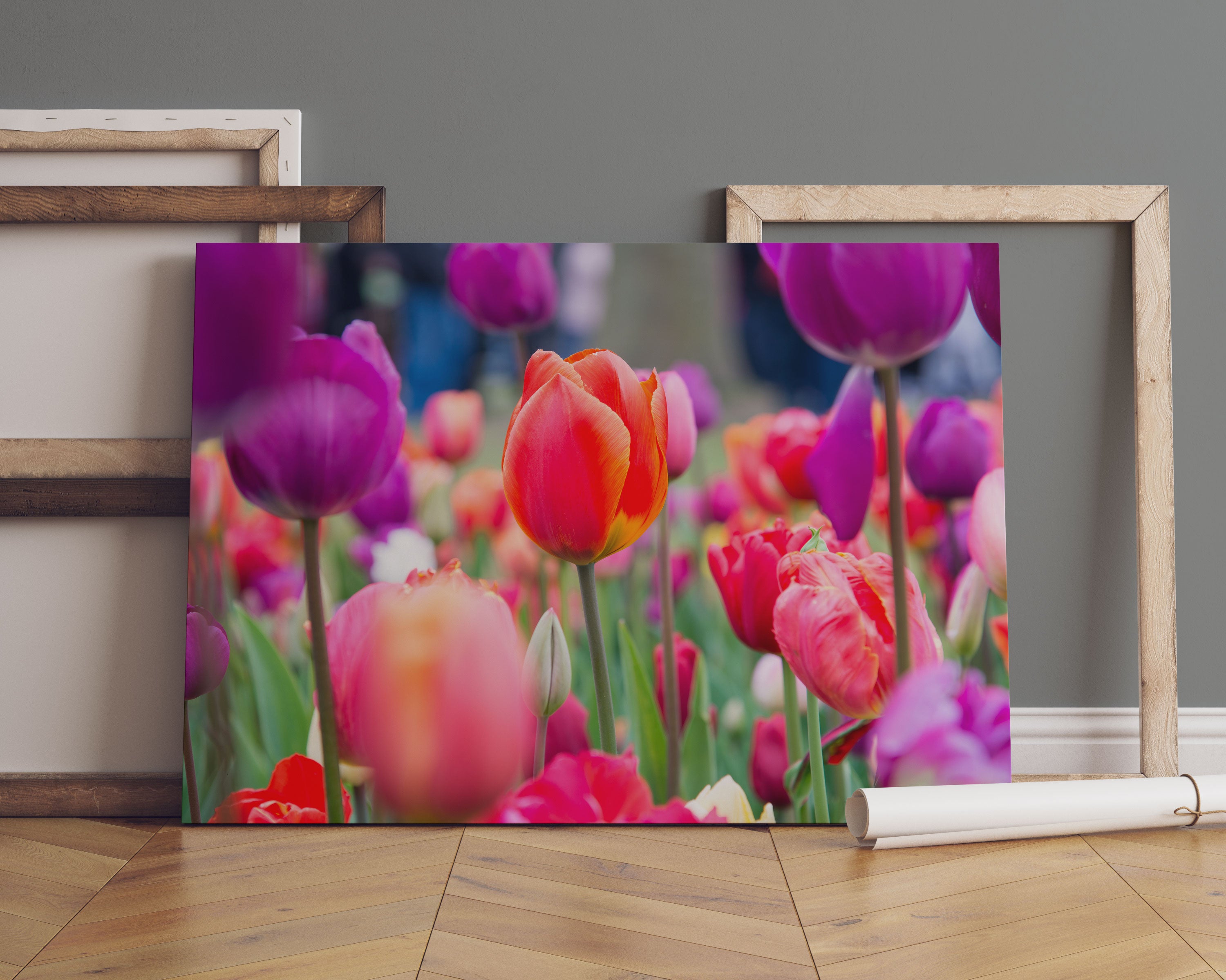 Bunte holländische Tulpen Nahaufnahme Leinwandbild Sofa