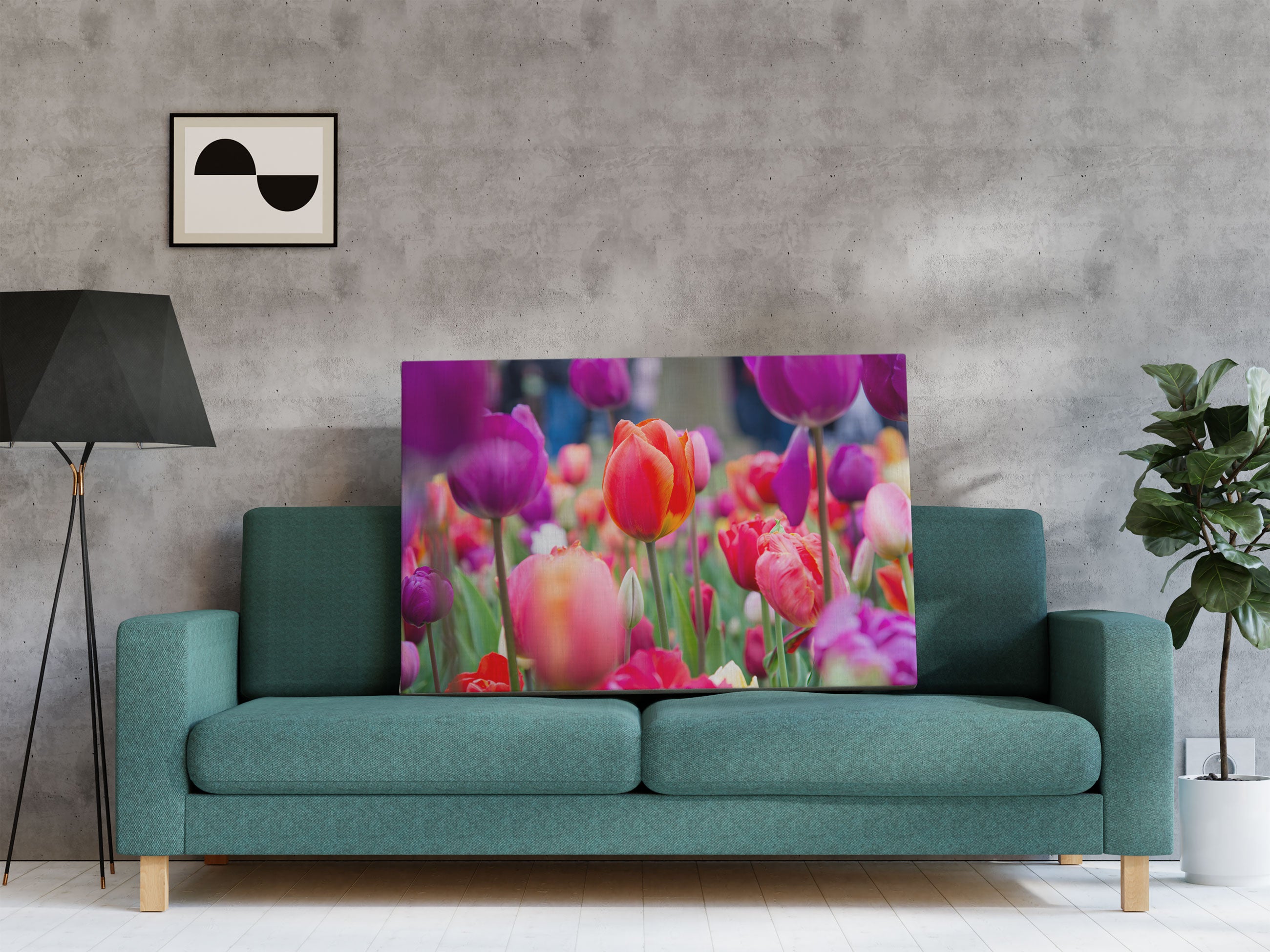 Bunte holländische Tulpen Nahaufnahme Leinwandbild Regal