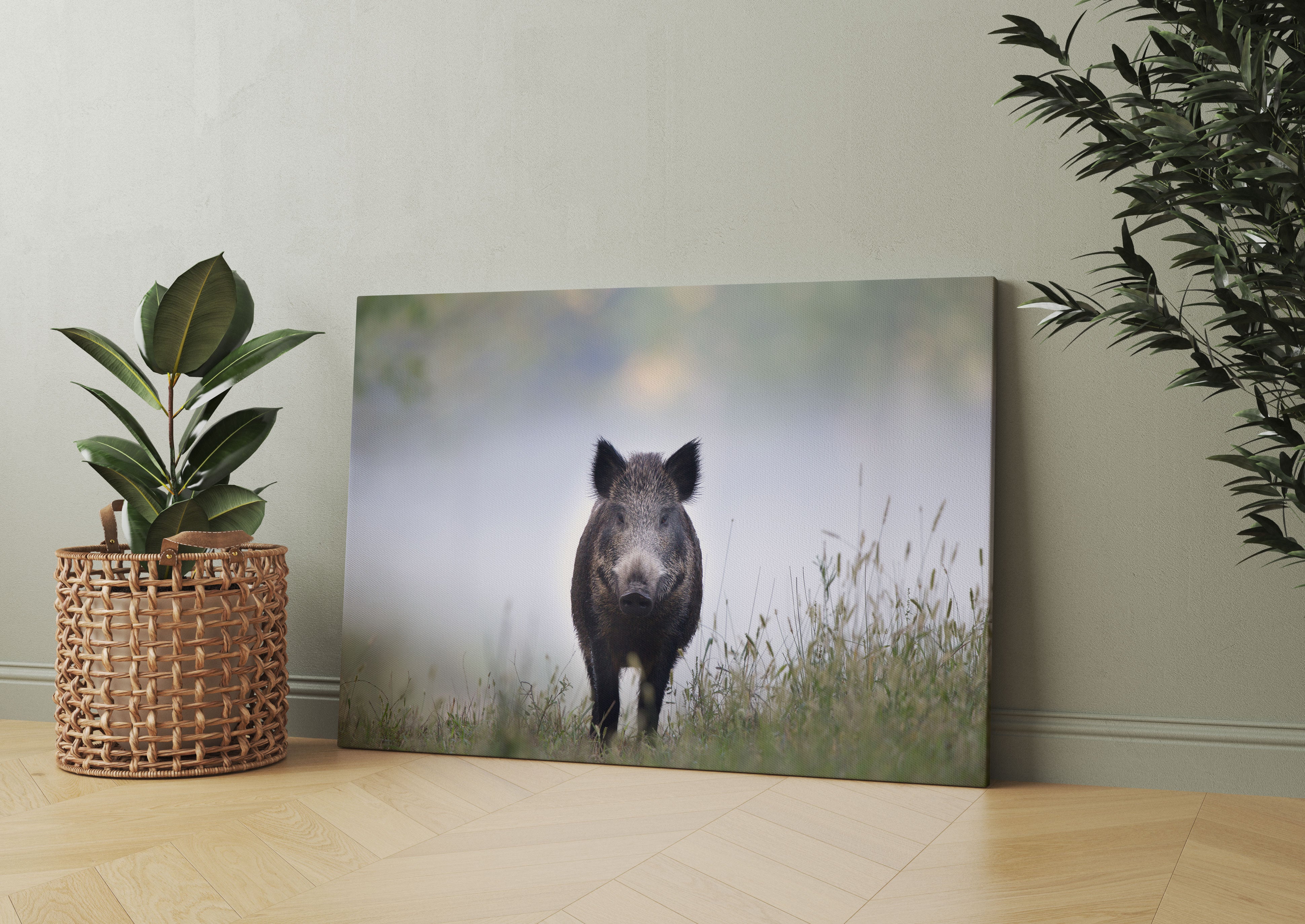 Wildschweinauf einer Wiese im Nebel Leinwandbild Wohnzimmer