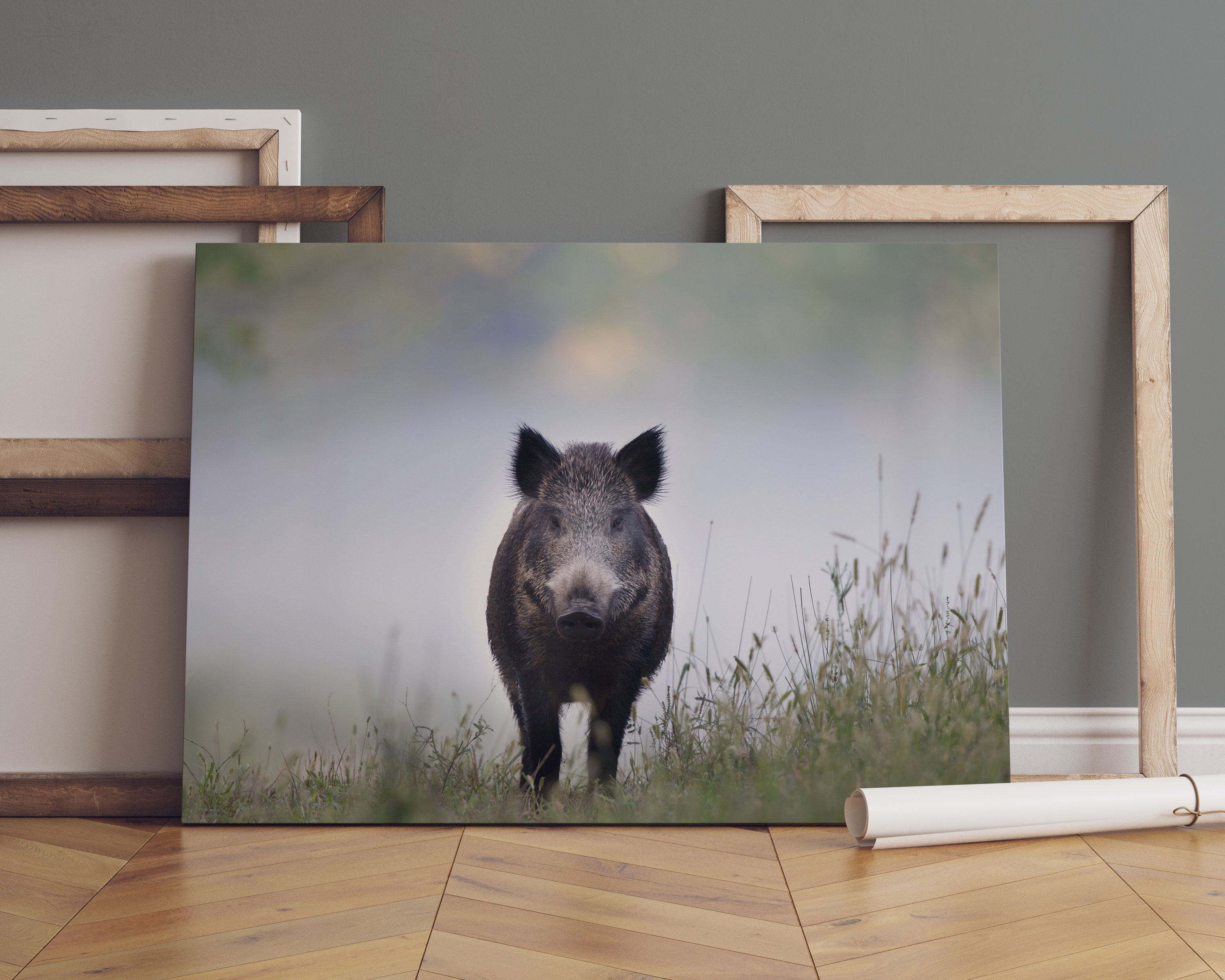 Wildschweinauf einer Wiese im Nebel Leinwandbild Sofa