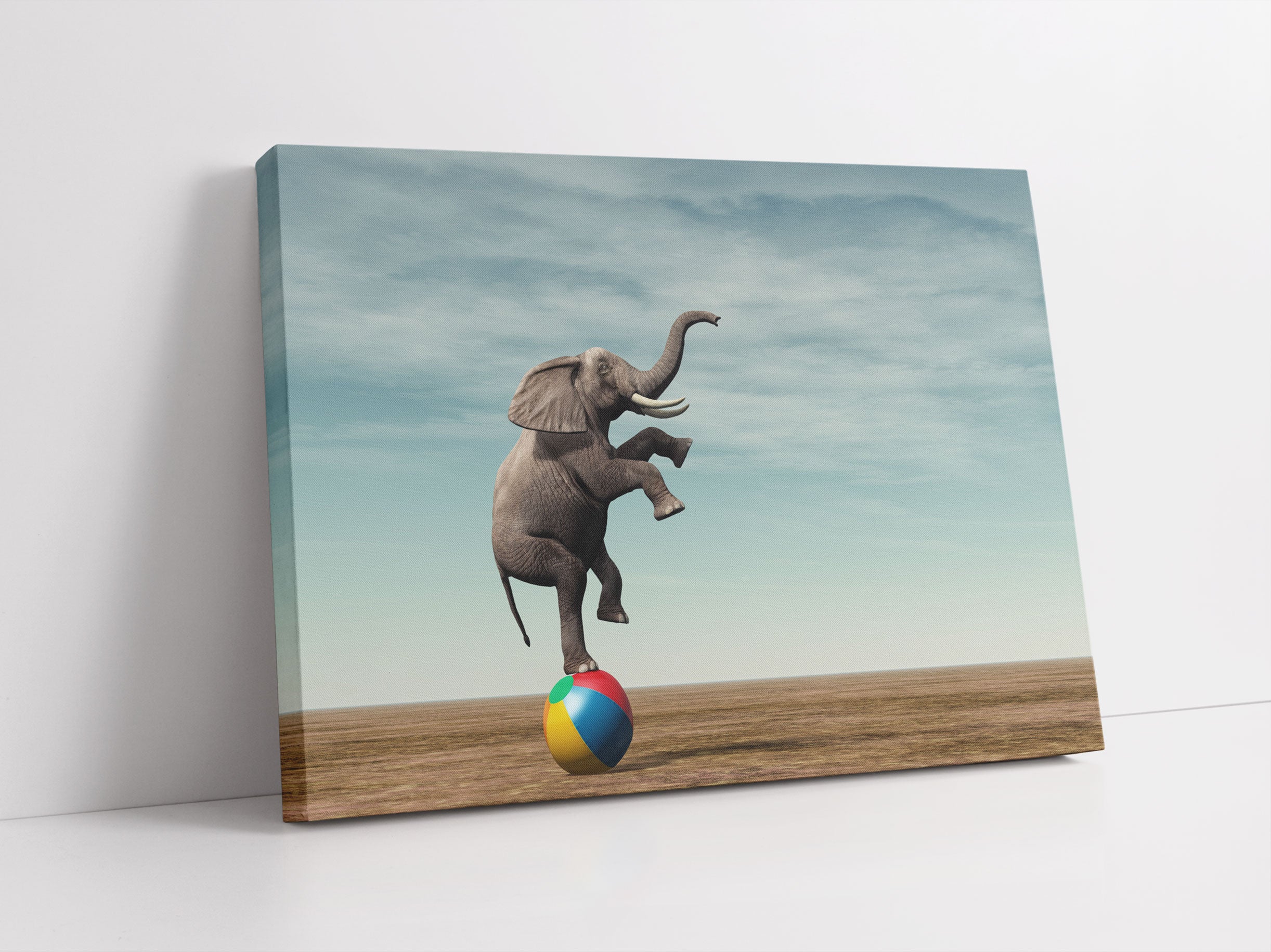 Elefant in der Wüste balanciert auf Ball Leinwandbild Studio