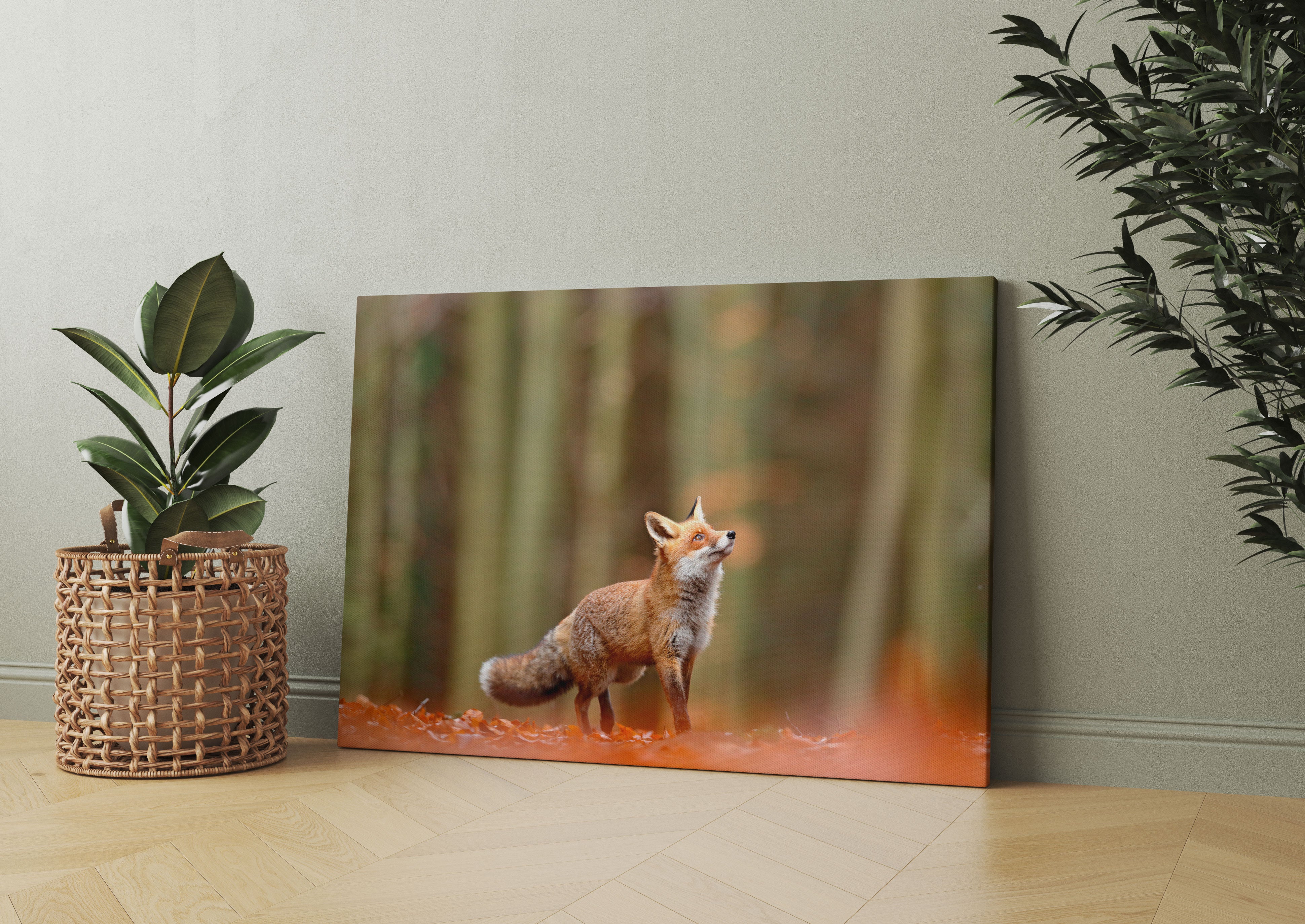 Neugieriger Fuchs im Herbstwald Leinwandbild Wohnzimmer