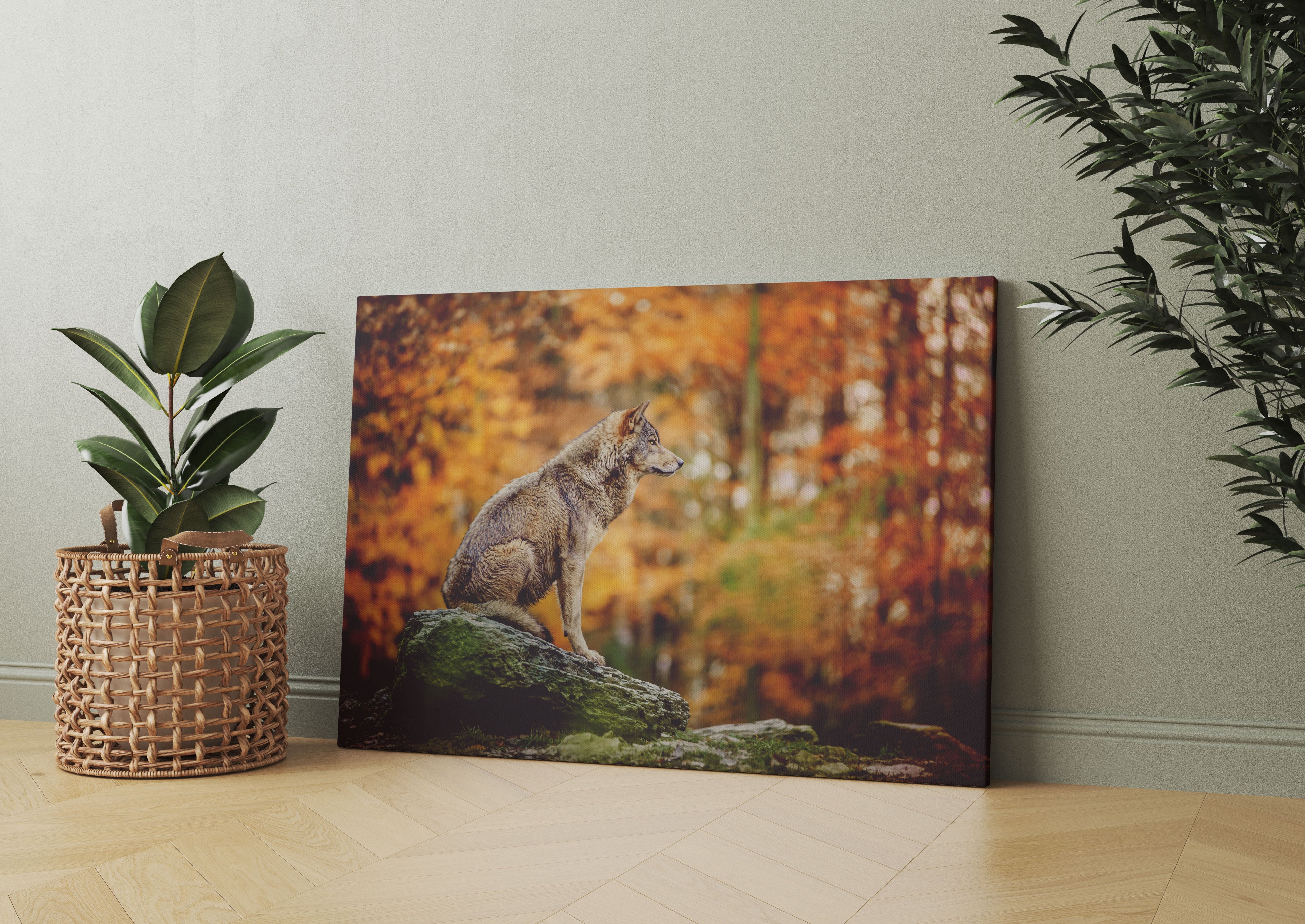 Wolf sitzt auf einem Stein im Herbstwald Leinwandbild Wohnzimmer