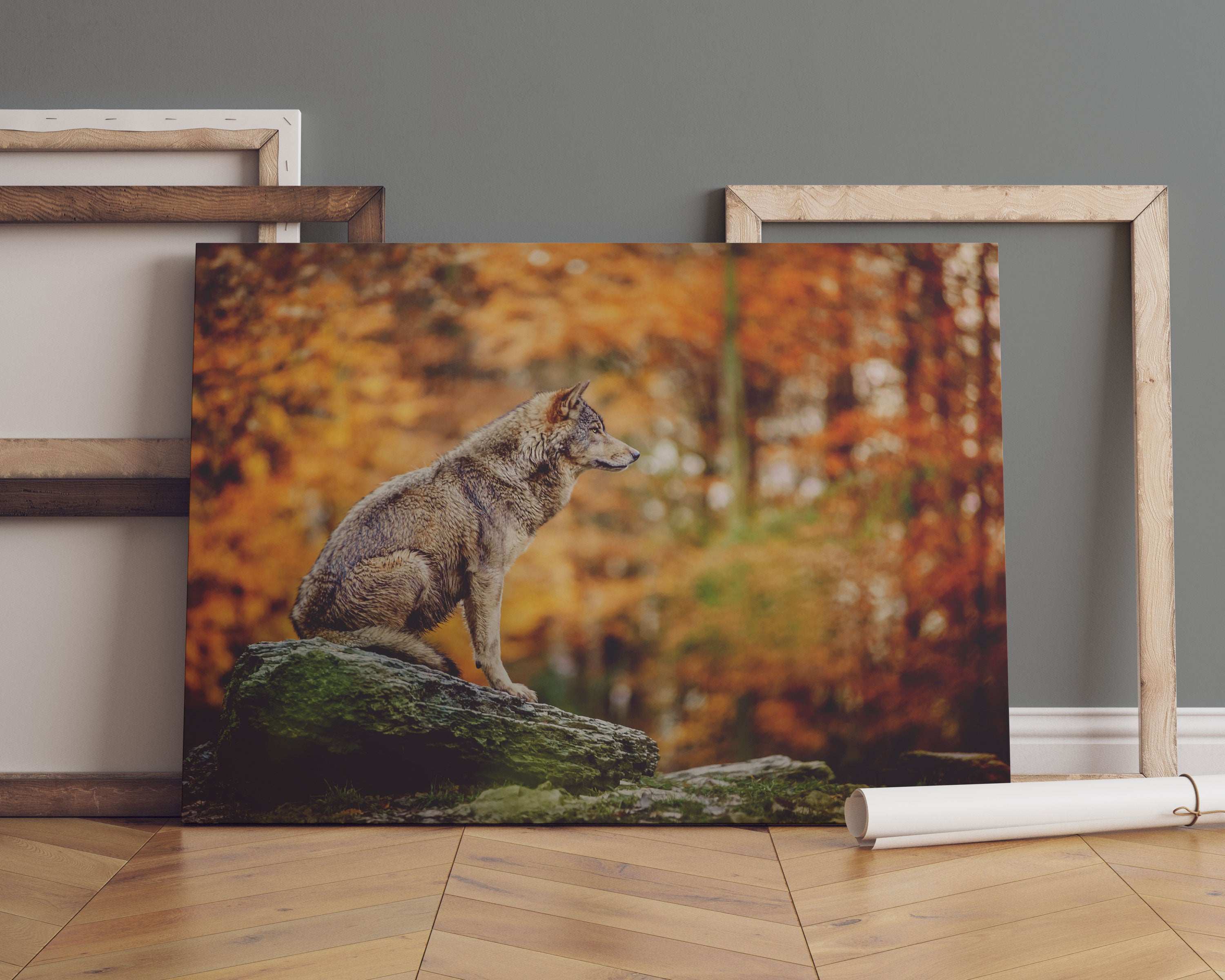 Wolf sitzt auf einem Stein im Herbstwald Leinwandbild Sofa