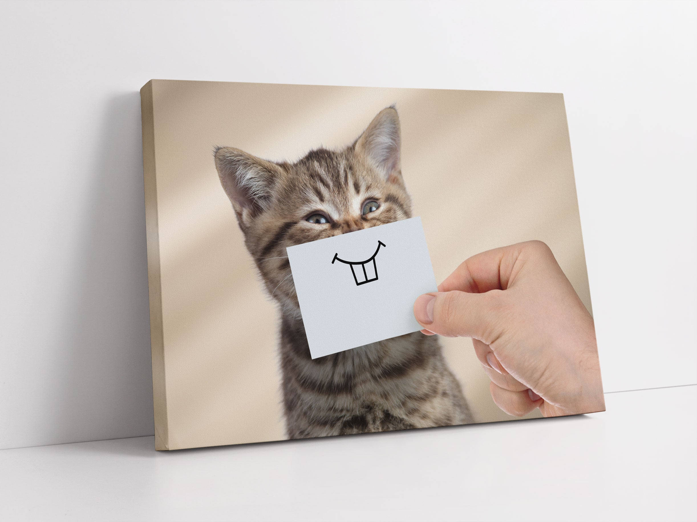 Lustige Katze mit Lächeln auf Papier Leinwandbild Studio