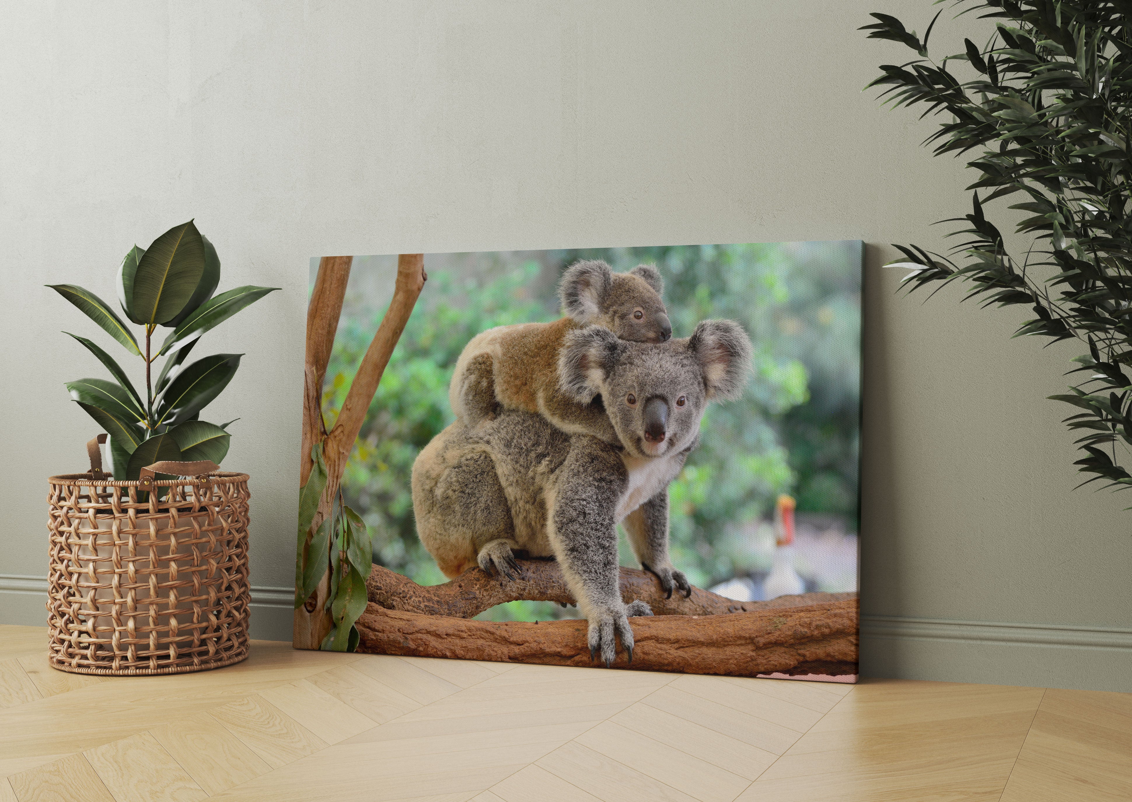 Koala Mutter mit Kind auf dem Rücken Leinwandbild Wohnzimmer