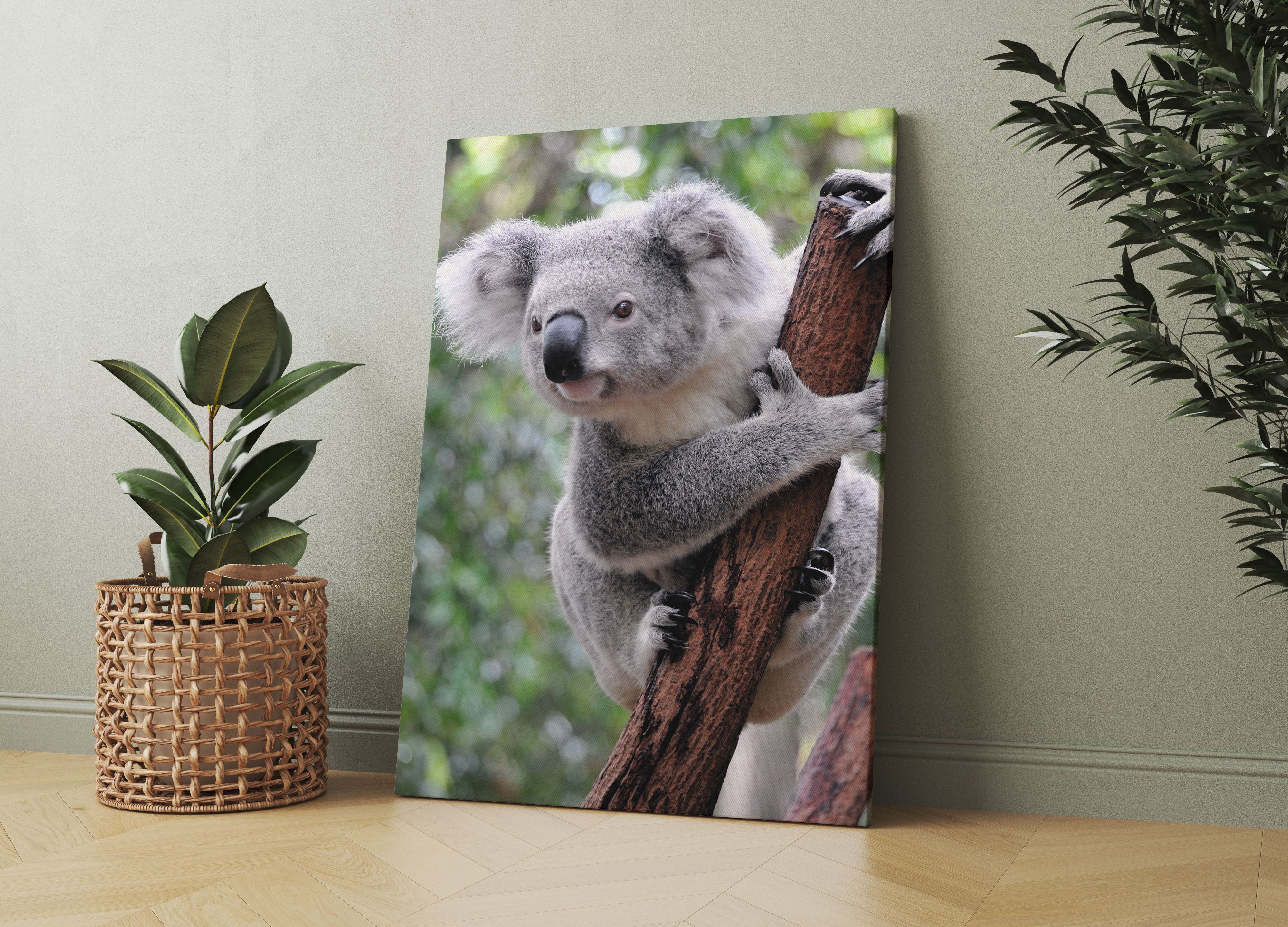 Neugieriger Koala an Baumstamm Leinwandbild Wohnzimmer