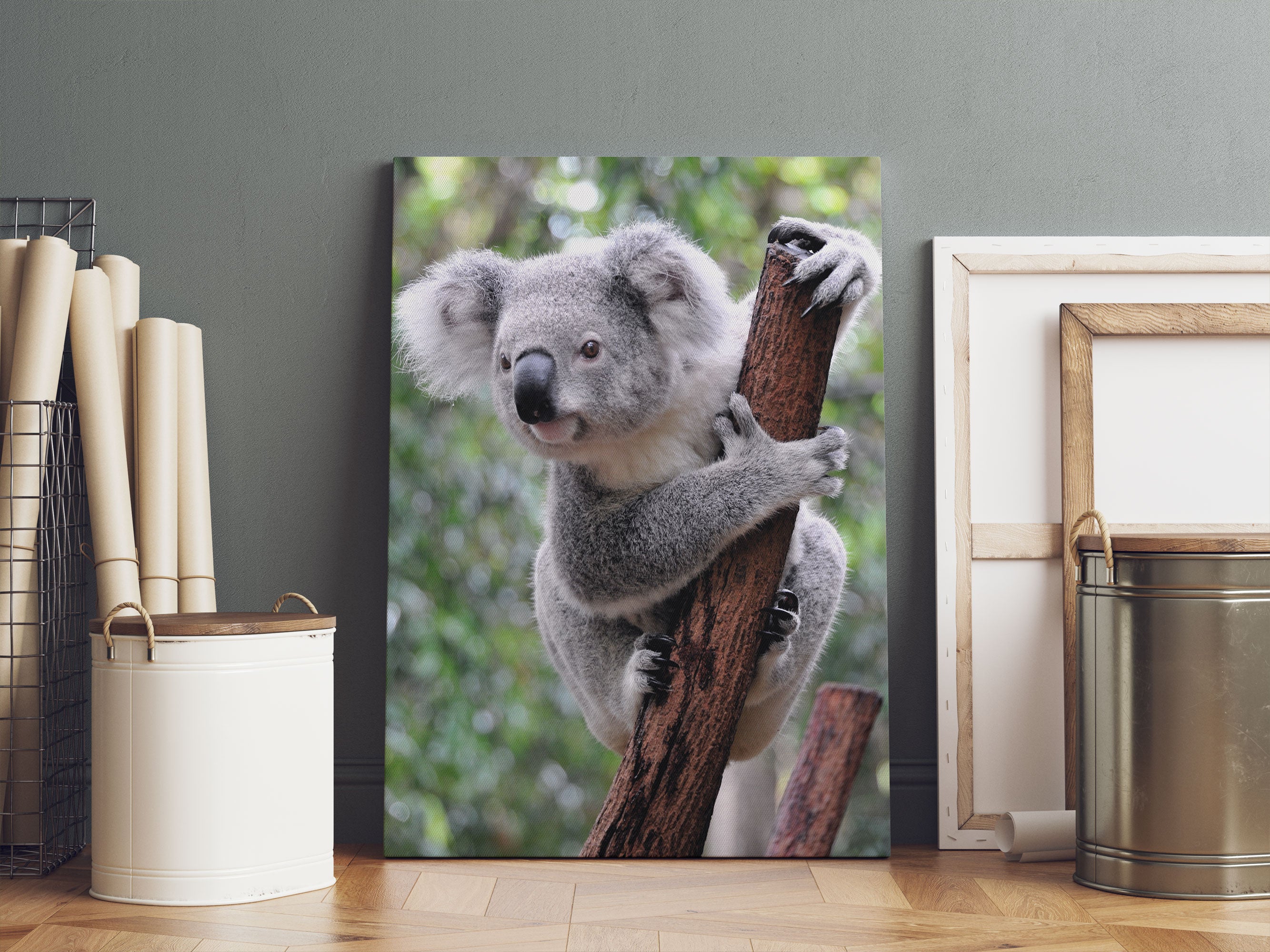 Neugieriger Koala an Baumstamm Leinwandbild Sofa