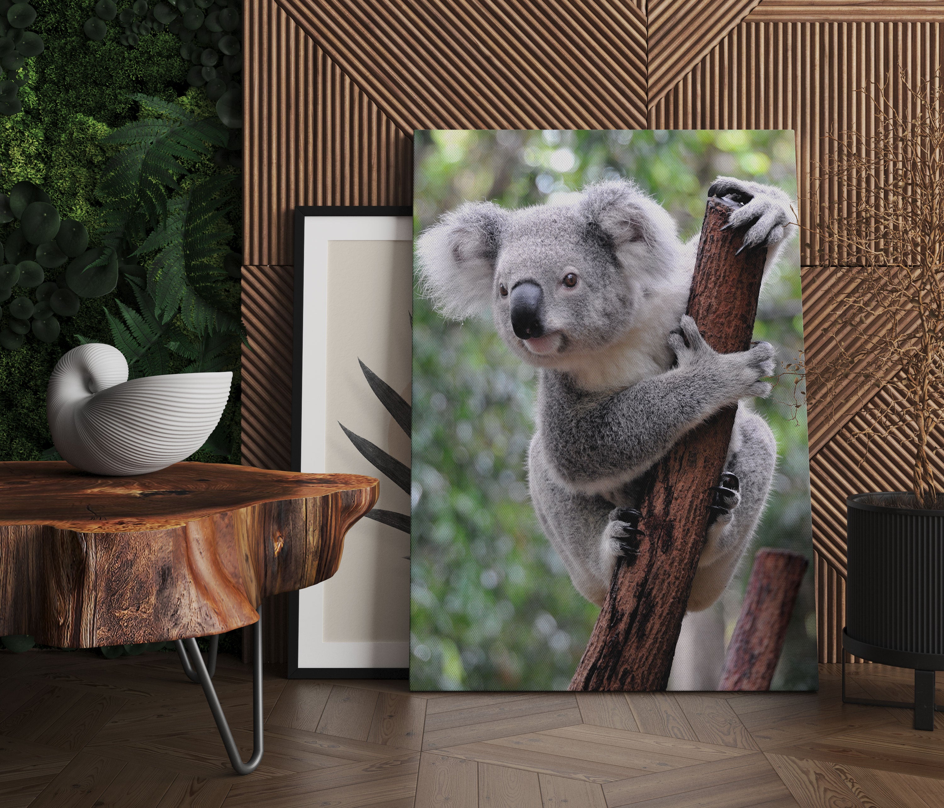 Neugieriger Koala an Baumstamm Leinwandbild Regal