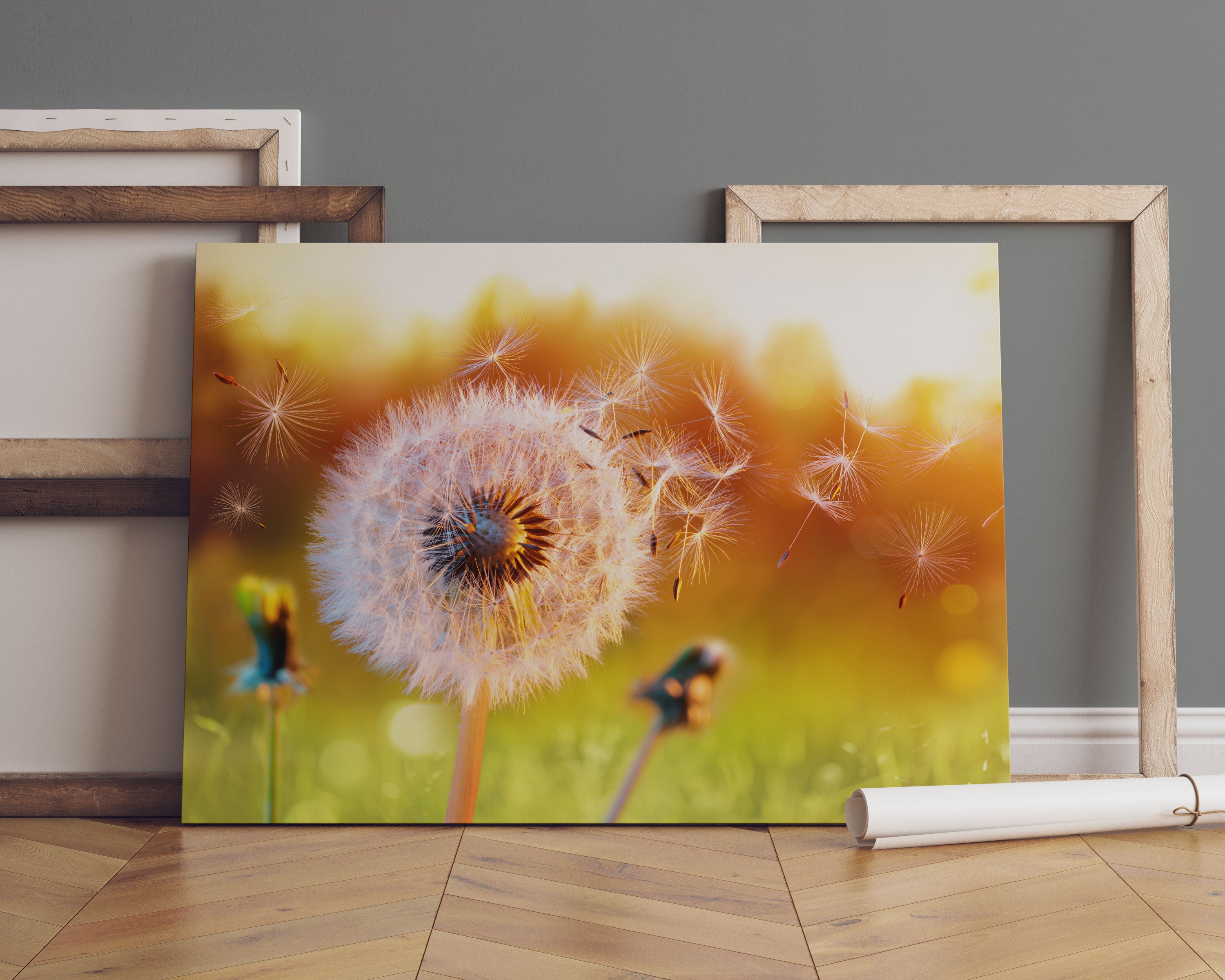 Nahaufnahme Pusteblume Sonnenuntergang Leinwandbild Sofa