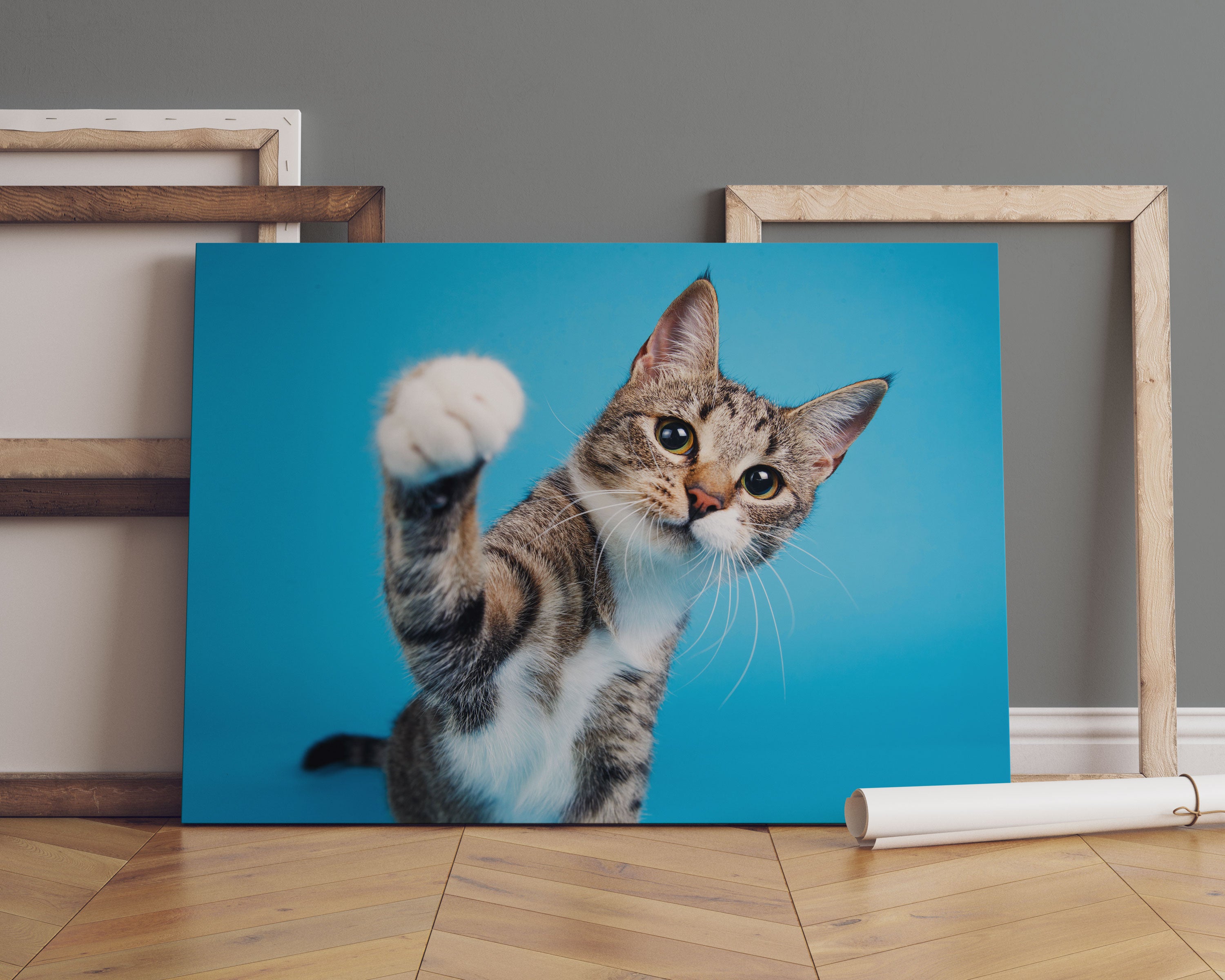 Neugierige Katze vor blauem Hintergrund Leinwandbild Sofa