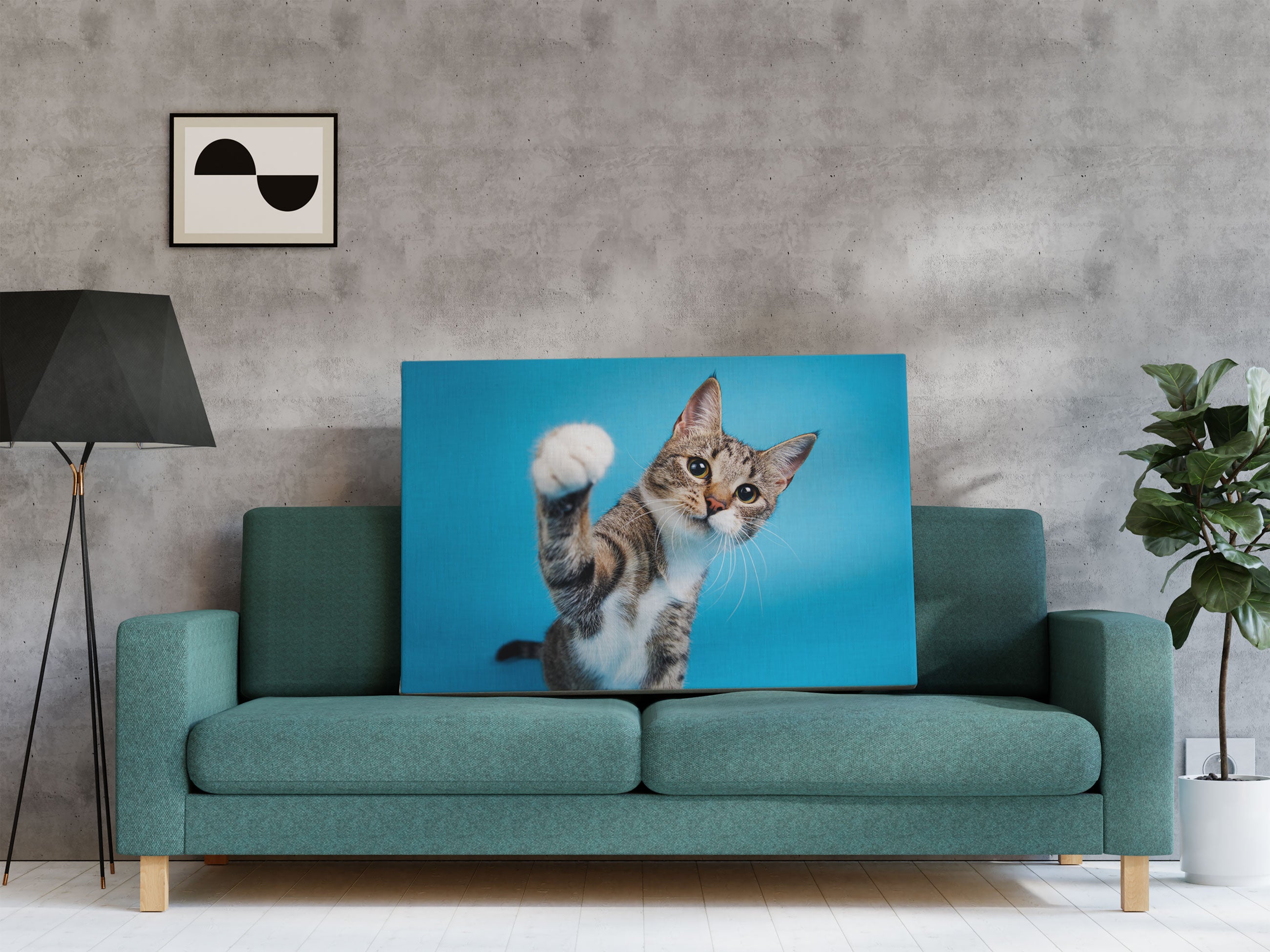 Neugierige Katze vor blauem Hintergrund Leinwandbild Regal