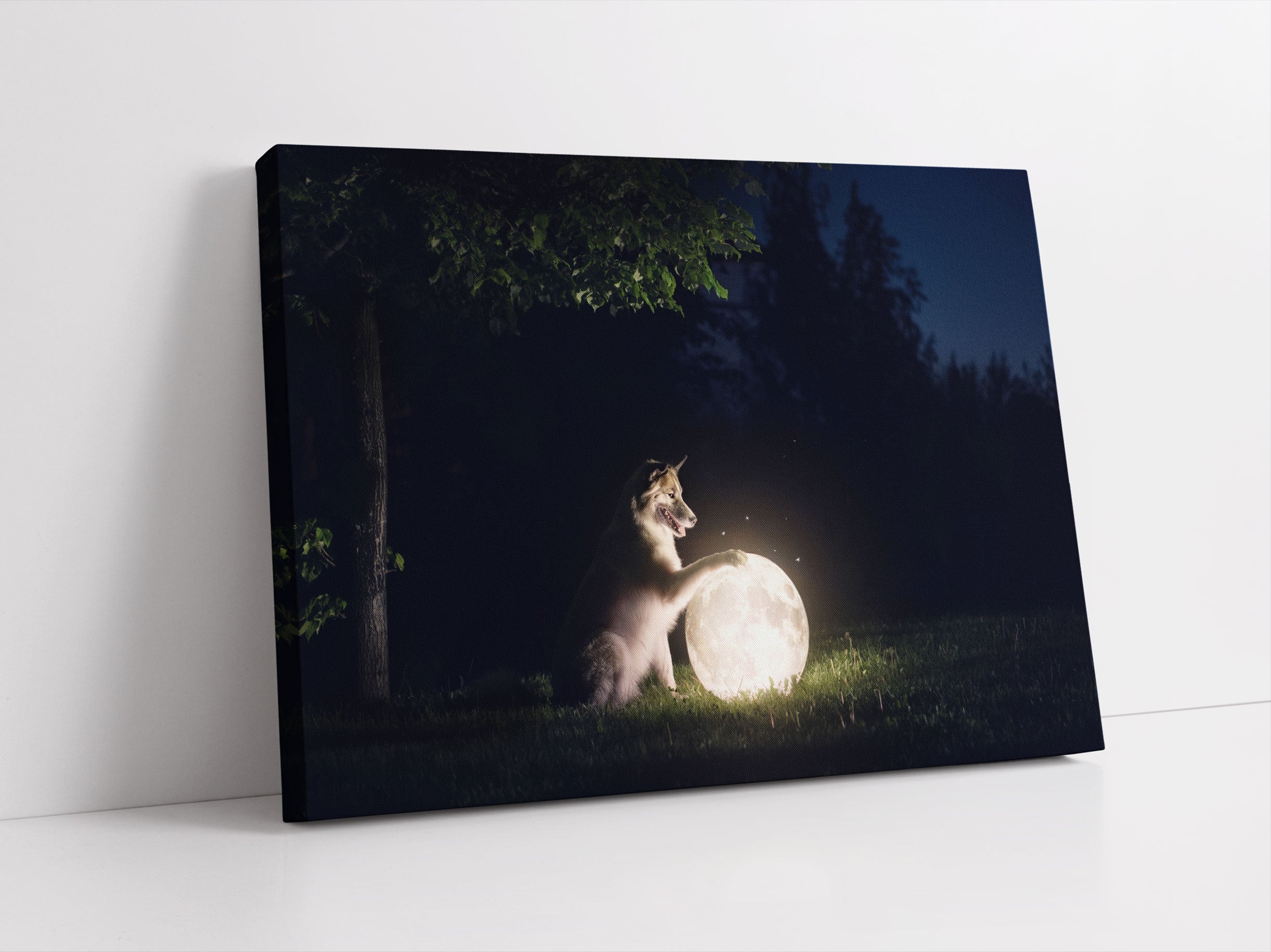 Hund mit leuchtendem Mond bei Nacht Leinwandbild Studio