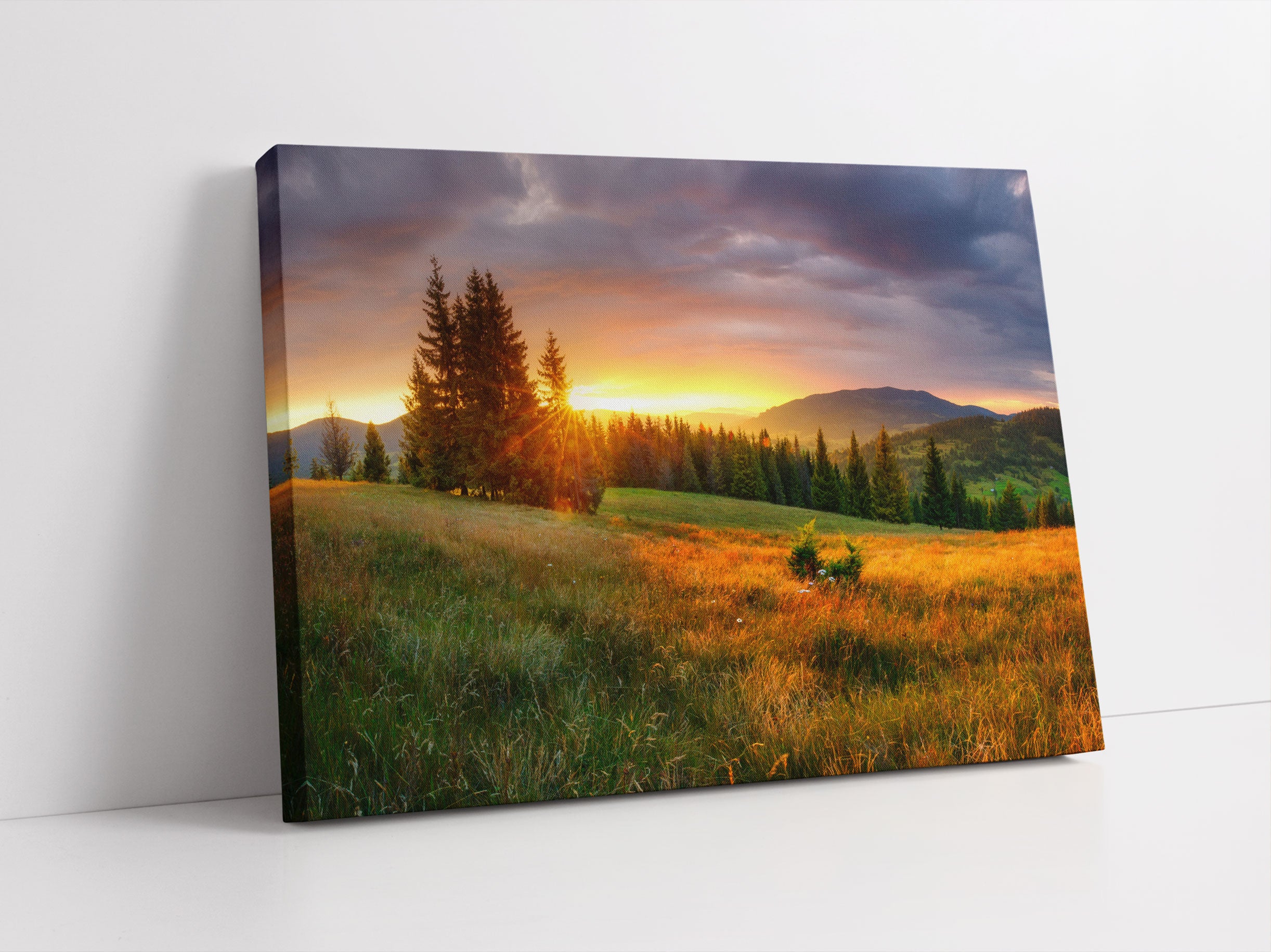 Wiesenlandschaft bei Sonnenuntergang Leinwandbild Studio